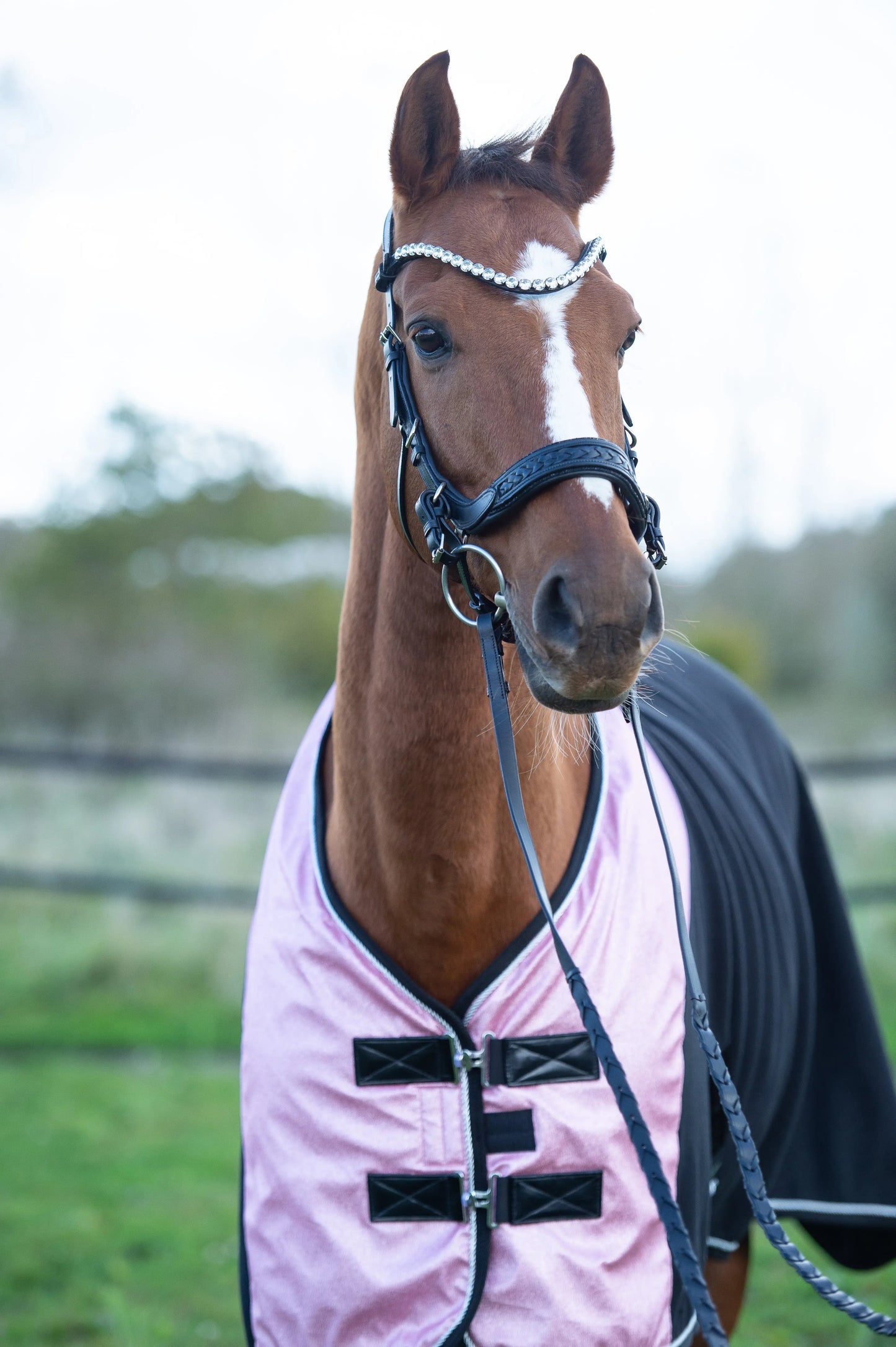 Trense Midnight CR-Harmonyequestrian