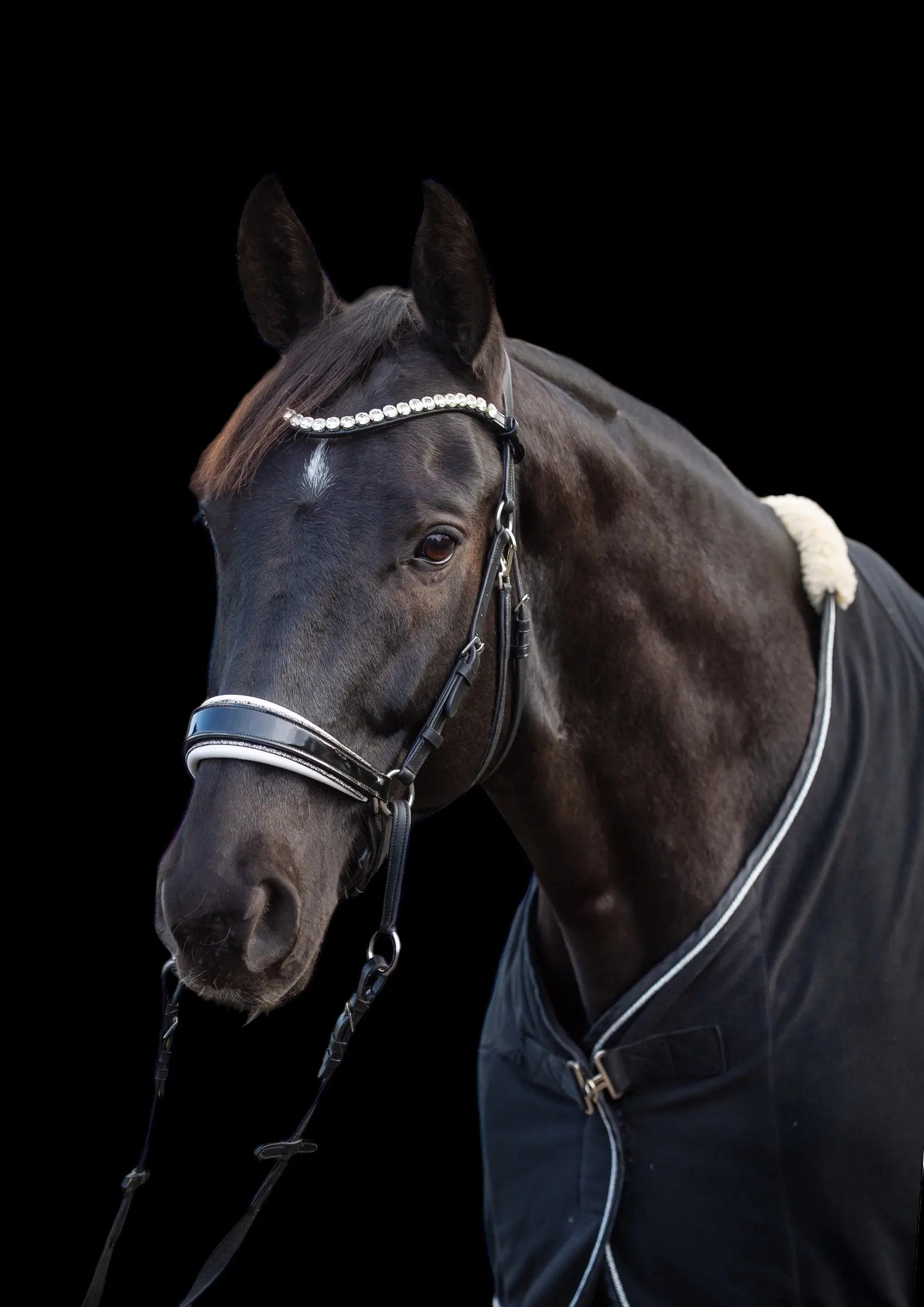 gebisslose Trense in Lack Luxury HB Bridle CR-Harmonyequestrian