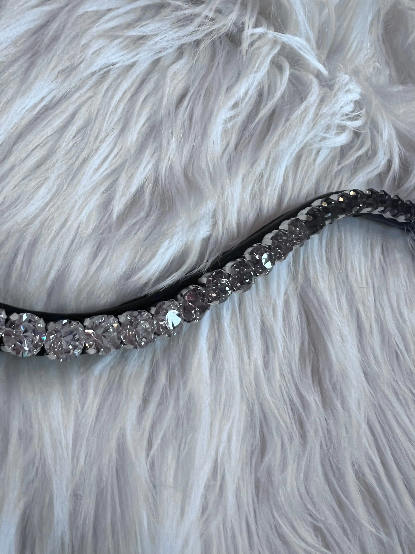 Stirnriemen Dark Light CR-Harmonyequestrian