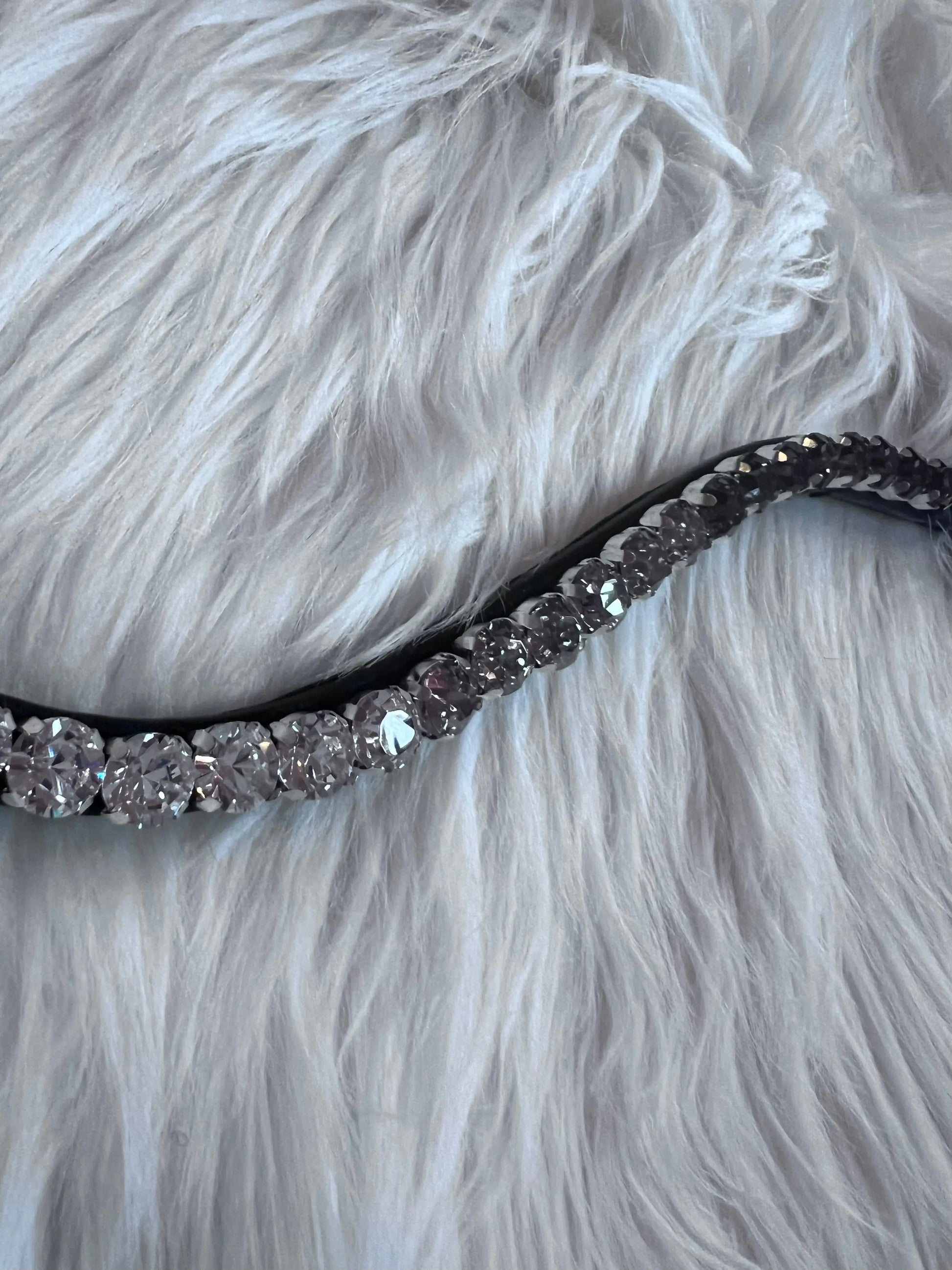 Stirnriemen Dark Light CR-Harmonyequestrian