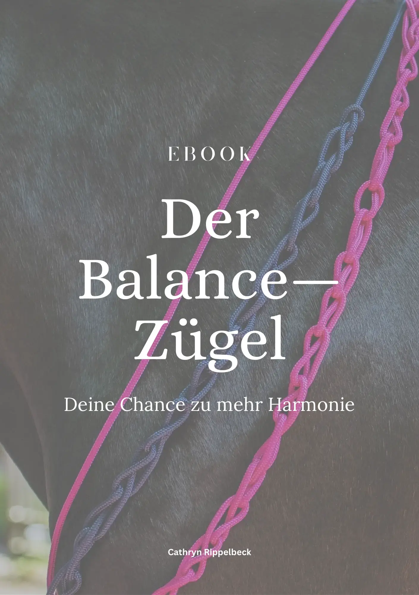 Der Balance-Zügel - Deine Chance zu mehr Harmonie Ebook - CR-Harmonyequestrian