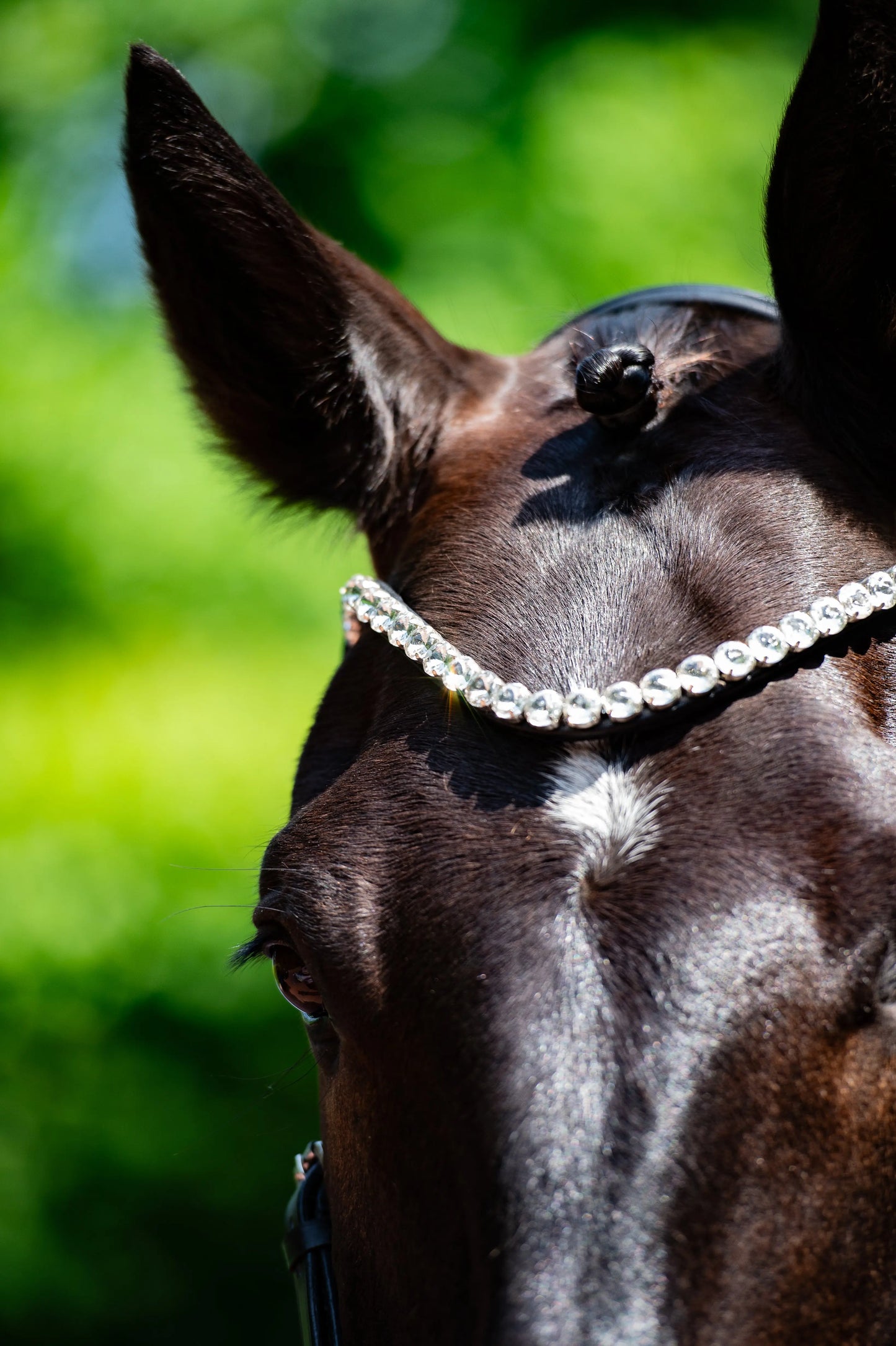 Harmony Bridle - anatomische gebisslose Trense mit Crystal Stirnband ( gebisslose Zäumung Sidepull oder Crossbridle CR-Harmonyequestrian