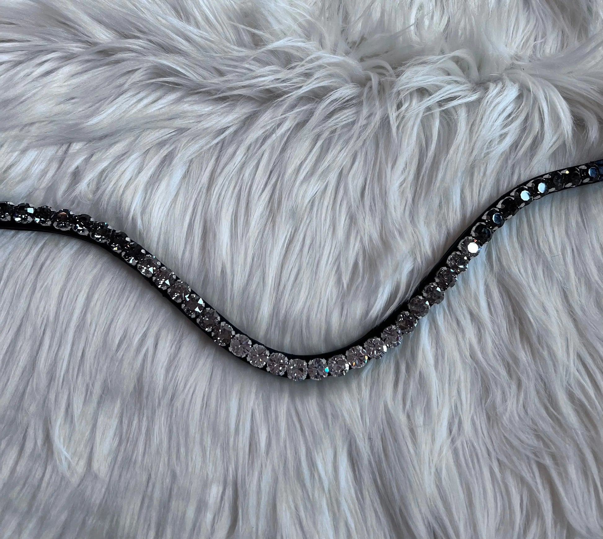 Stirnriemen Dark Light CR-Harmonyequestrian