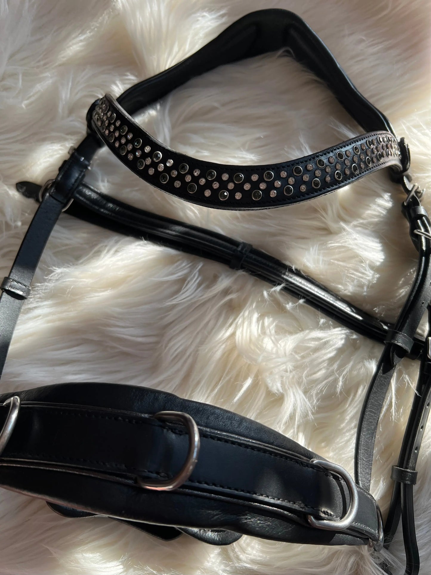 Multizaum Vollblut - CR-Harmonyequestrian