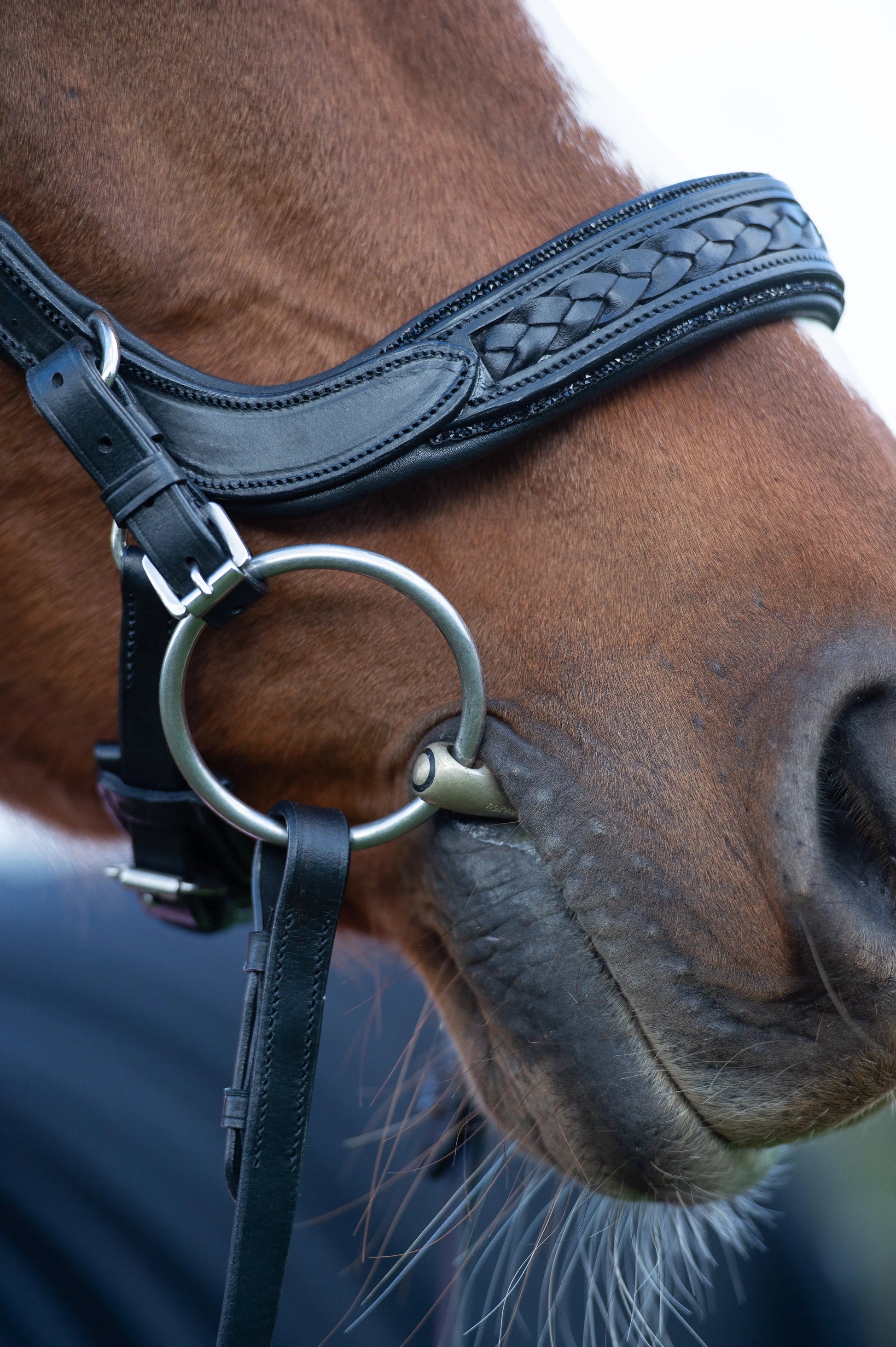 Trense Midnight CR-Harmonyequestrian