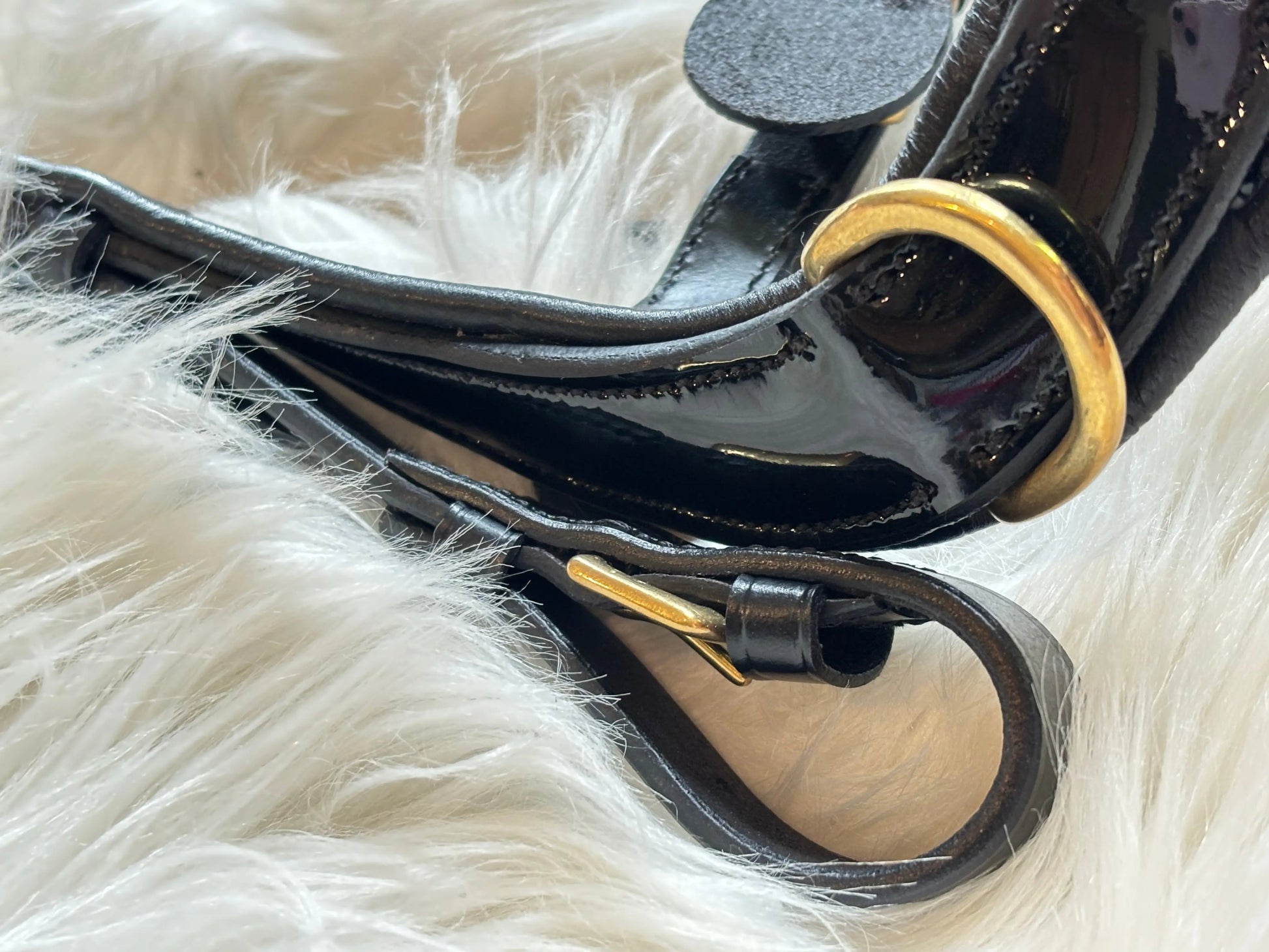 Midnight Supreme – Lack Gold Edition Braun & Schwarz - CR-Harmonyequestrian