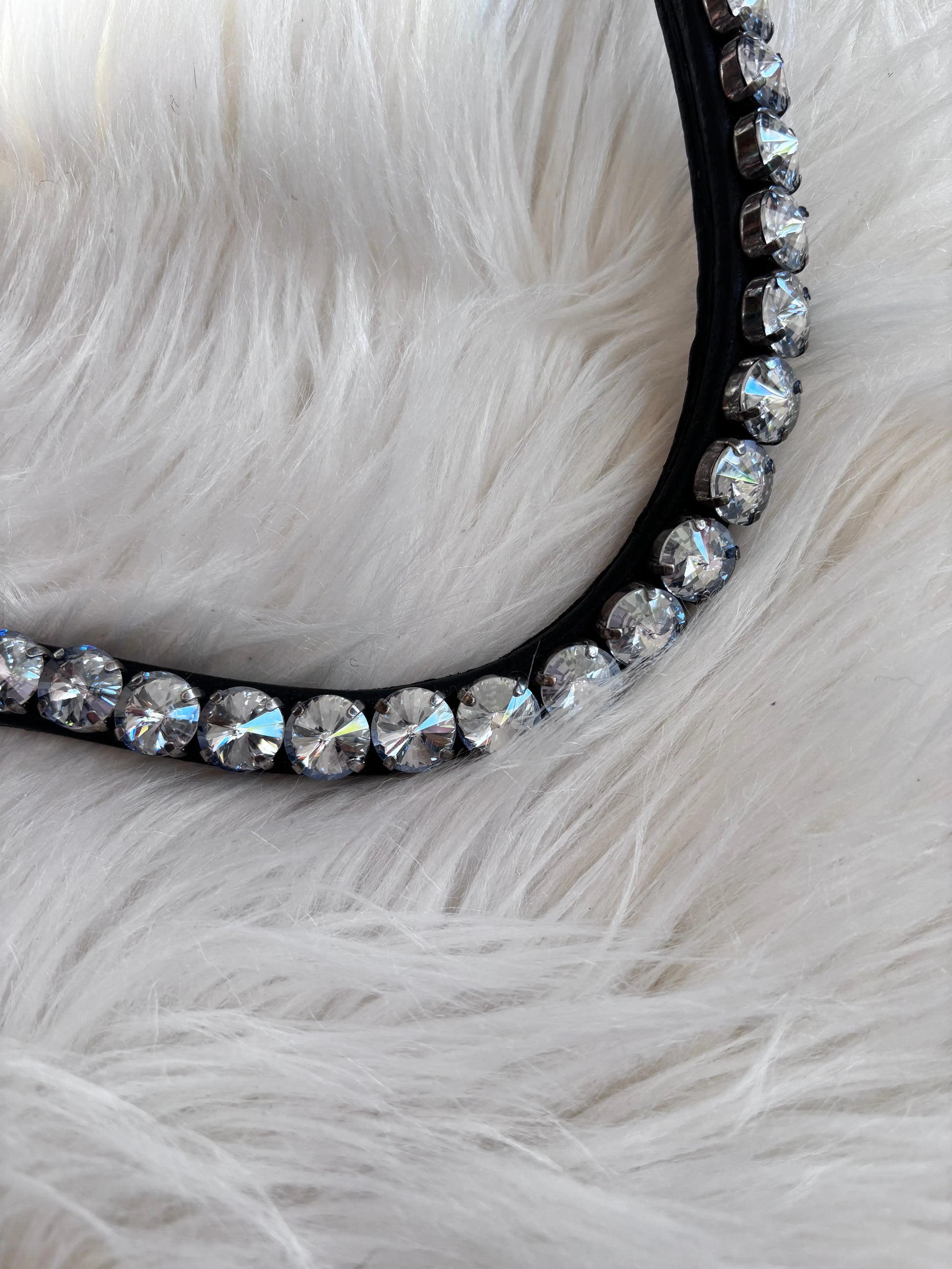 Stirnriemen Big Universe - CR-Harmonyequestrian