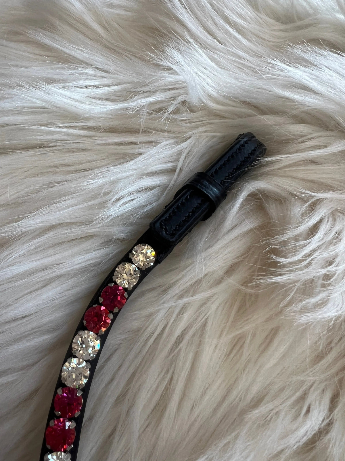 Stirnriemen Slim Scarlet Spark CR-Harmonyequestrian