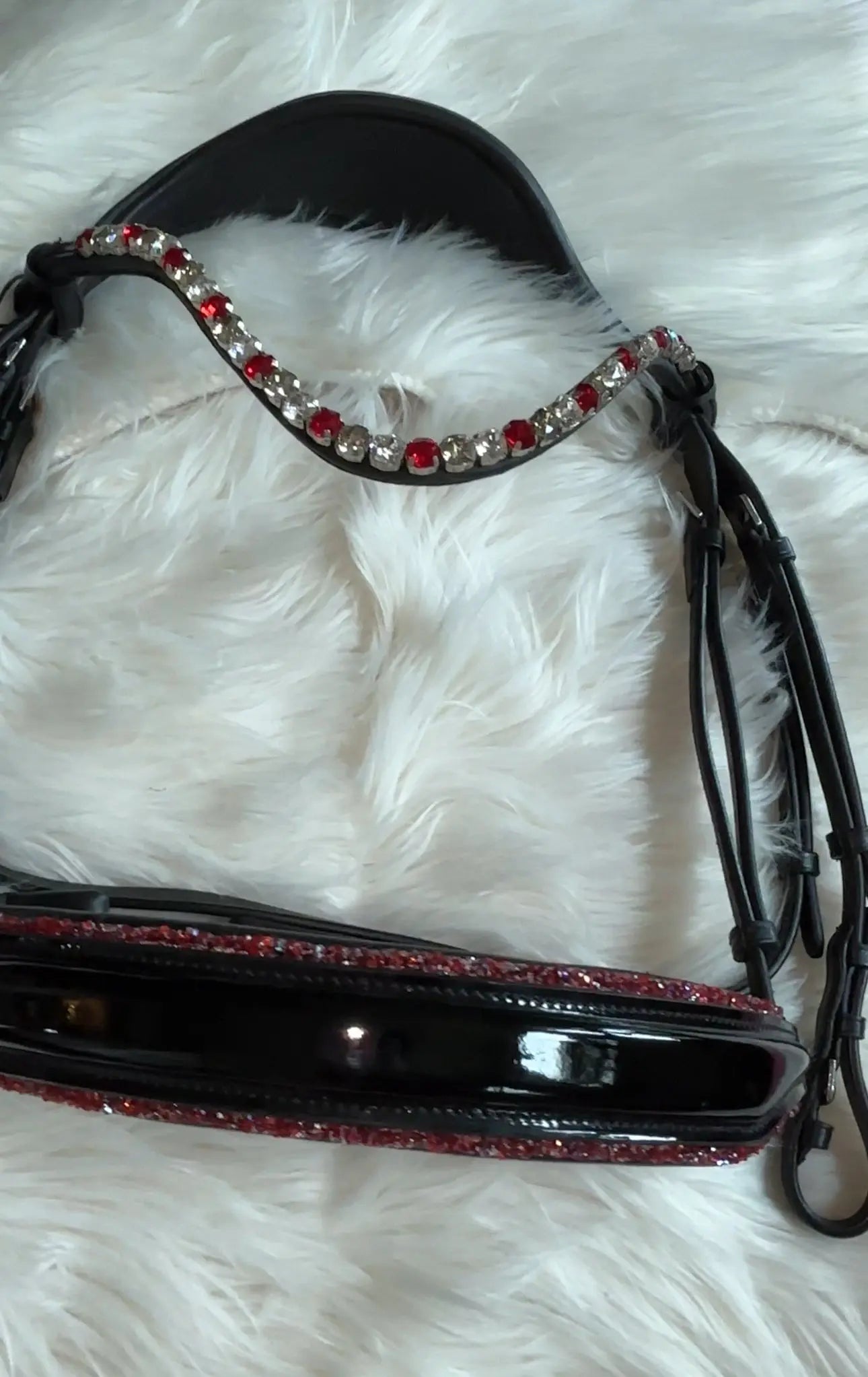 Ruby Noir – Ein Statement in Lack & Glitzer Vollblut CR-Harmonyequestrian