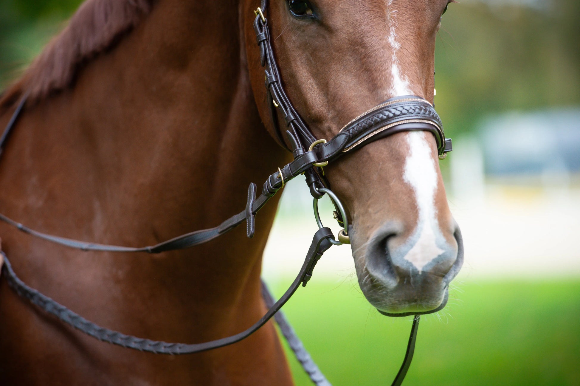 Midnight Supreme - CR-Harmonyequestrian Geflochtene Trense 240.00