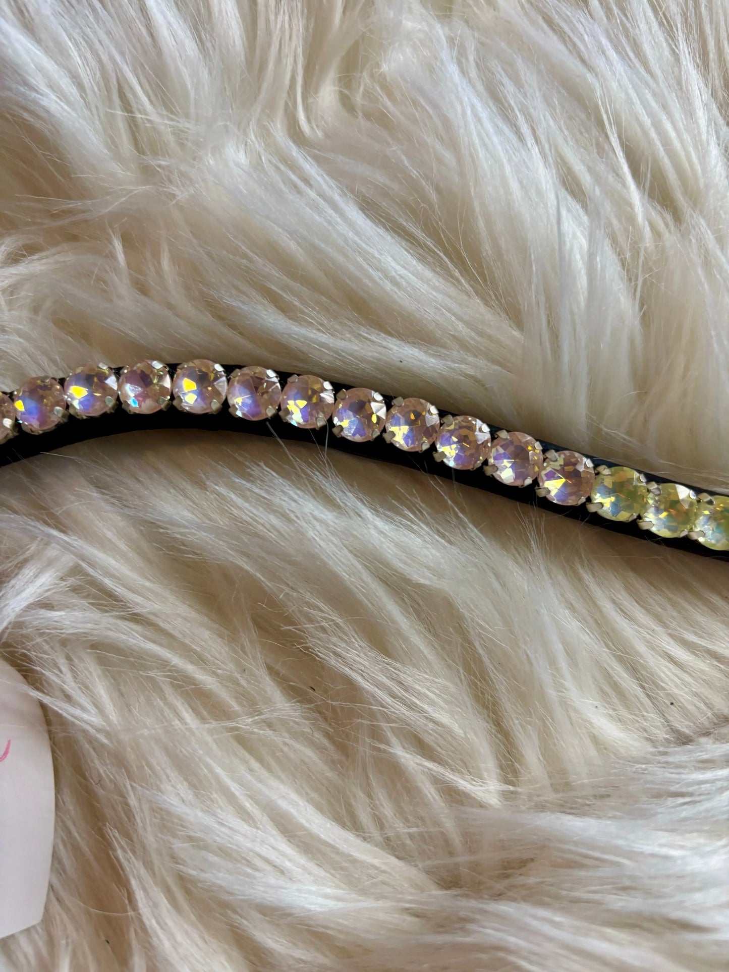 Stirnriemen Electric Vibes CR-Harmonyequestrian