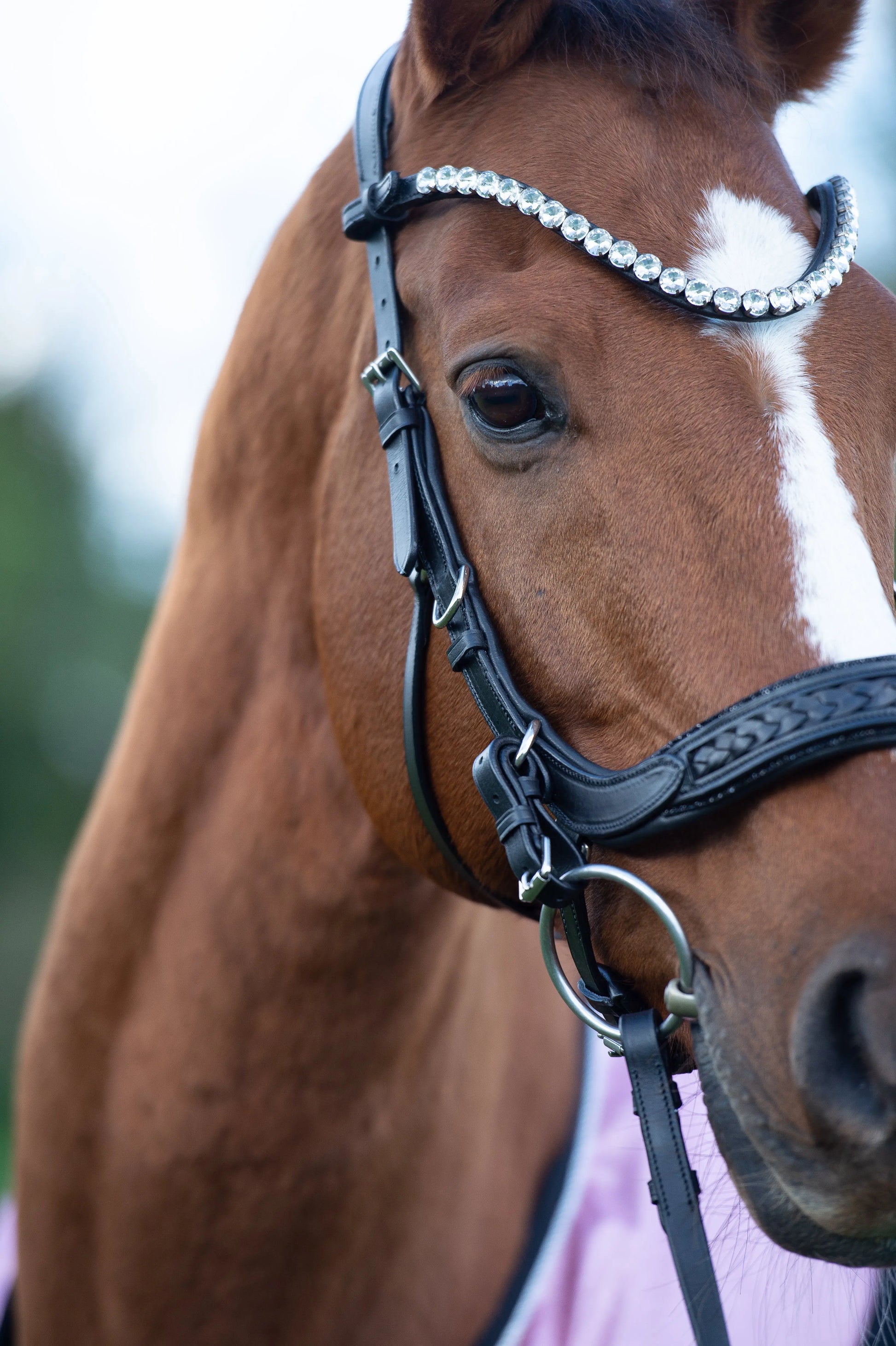 Trense Midnight CR-Harmonyequestrian