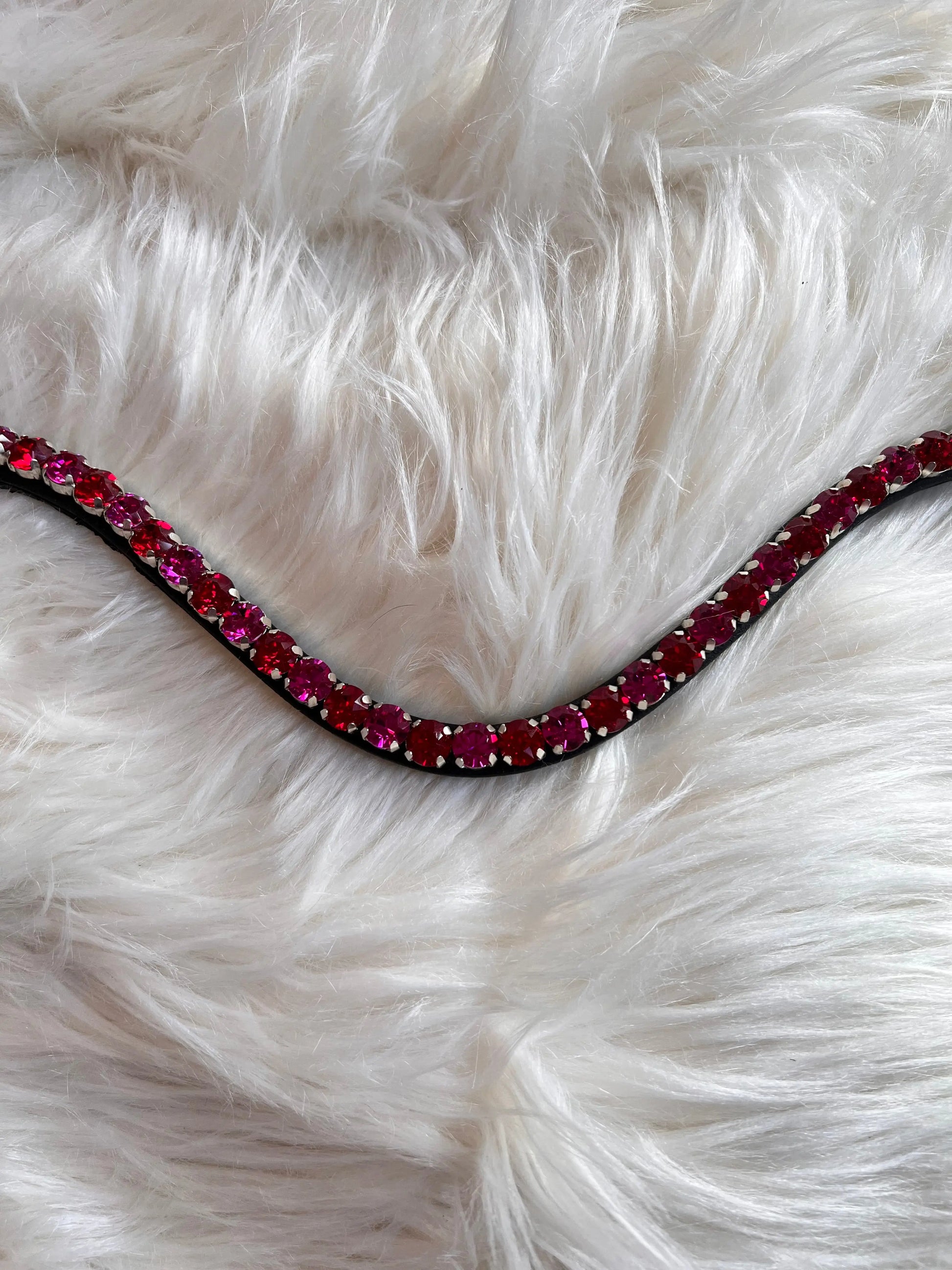 Stirnriemen Mad Fuchsia CR-Harmonyequestrian