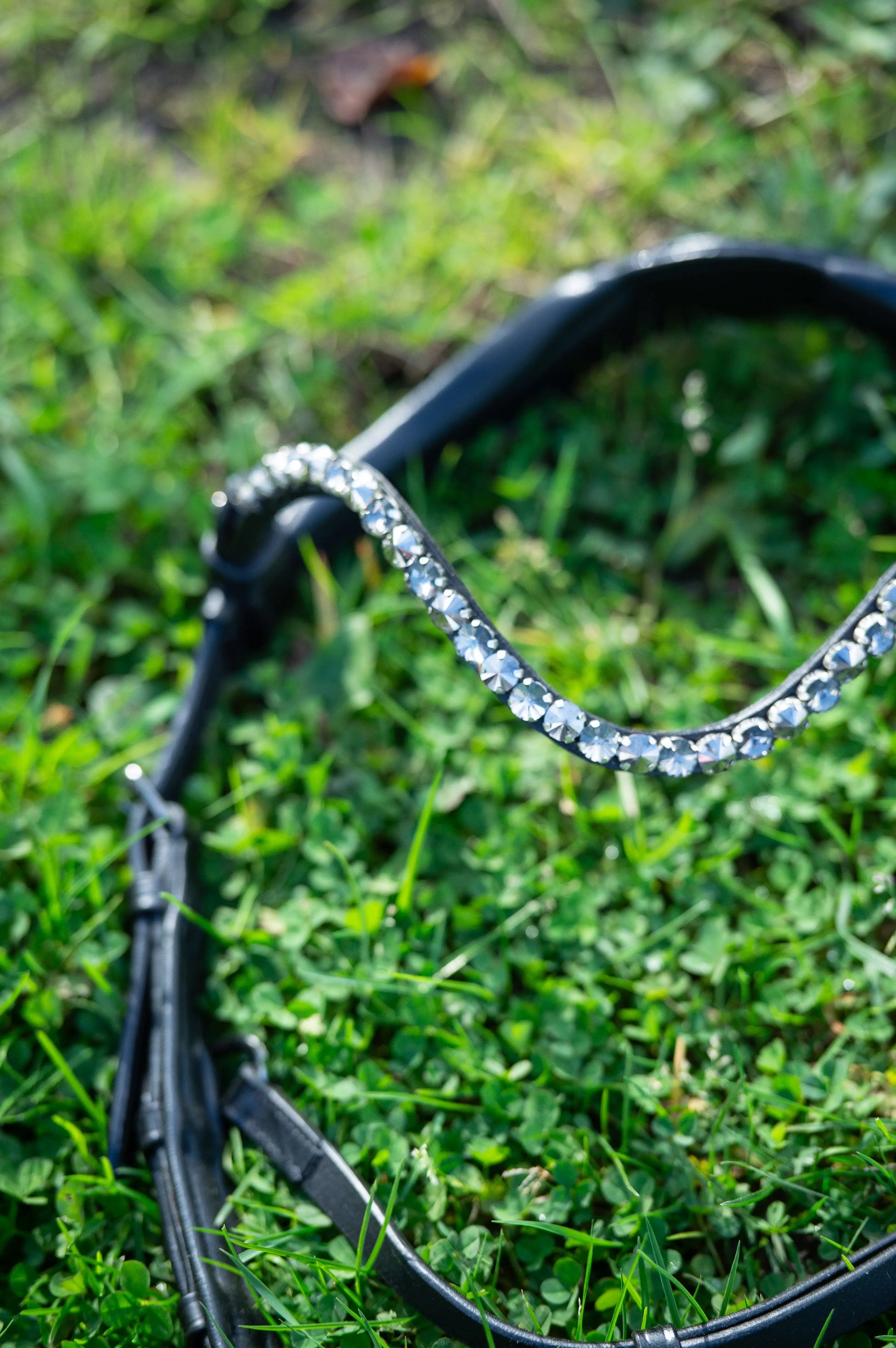 Midnight Supreme - CR-Harmonyequestrian Geflochtene Trense 240.00