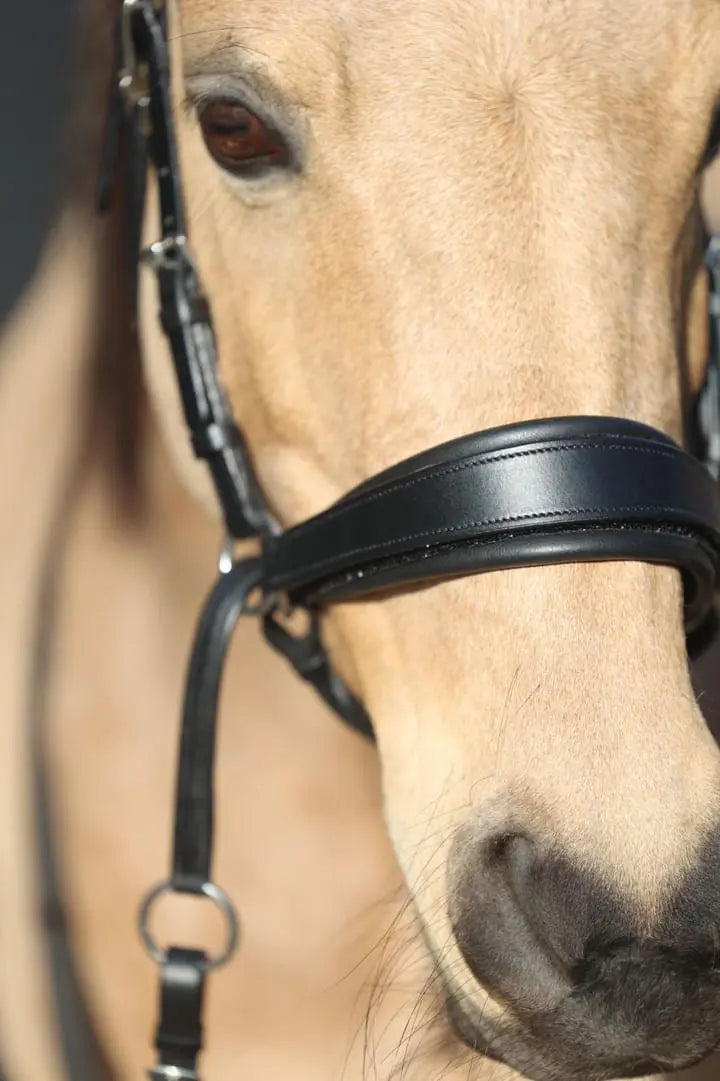 Harmony Bridle - anatomische gebisslose Trense mit Crystal Stirnband ( gebisslose Zäumung Sidepull oder Crossbridle - CR-Harmonyequestrian