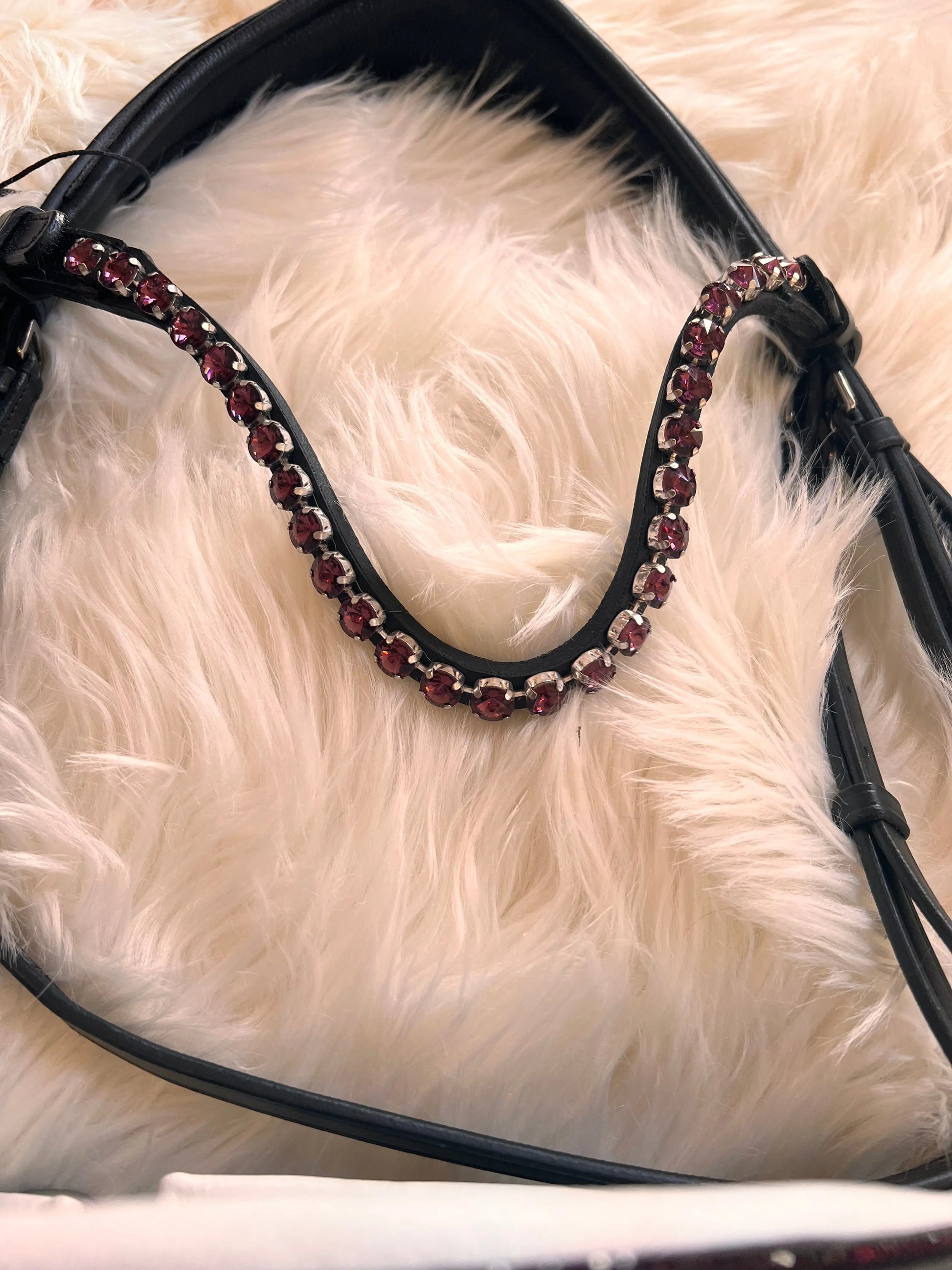 Lacktrense mit purple Crystals CR-Harmonyequestrian