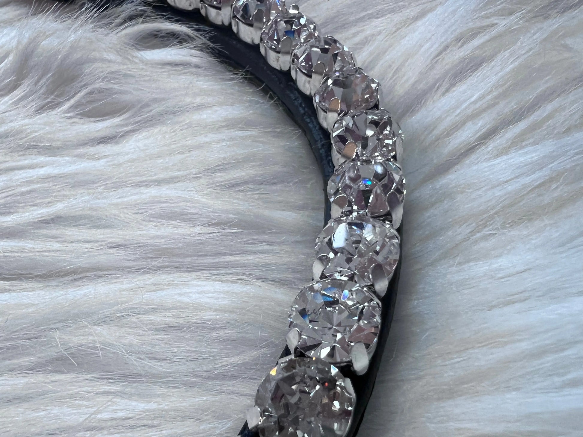 Stirnriemen Dark Light CR-Harmonyequestrian