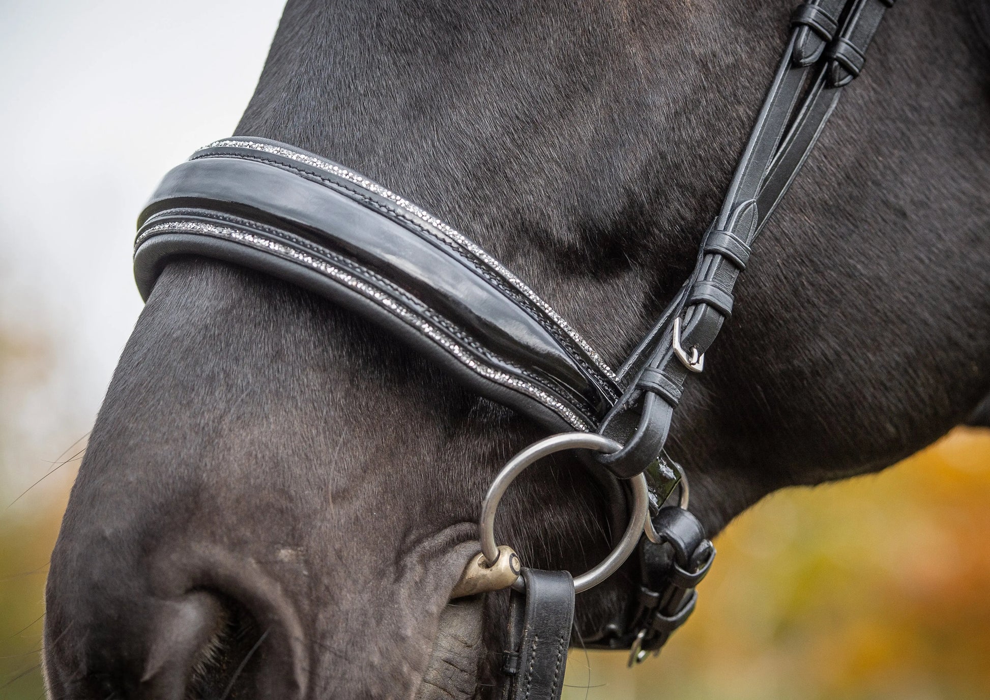 Glamourös Lack Trense schwarz mit Silber Crystal Rocks CR-Harmonyequestrian