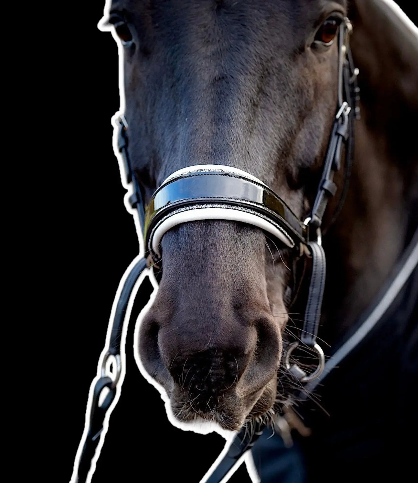 gebisslose Trense in Lack Luxury HB Bridle CR-Harmonyequestrian