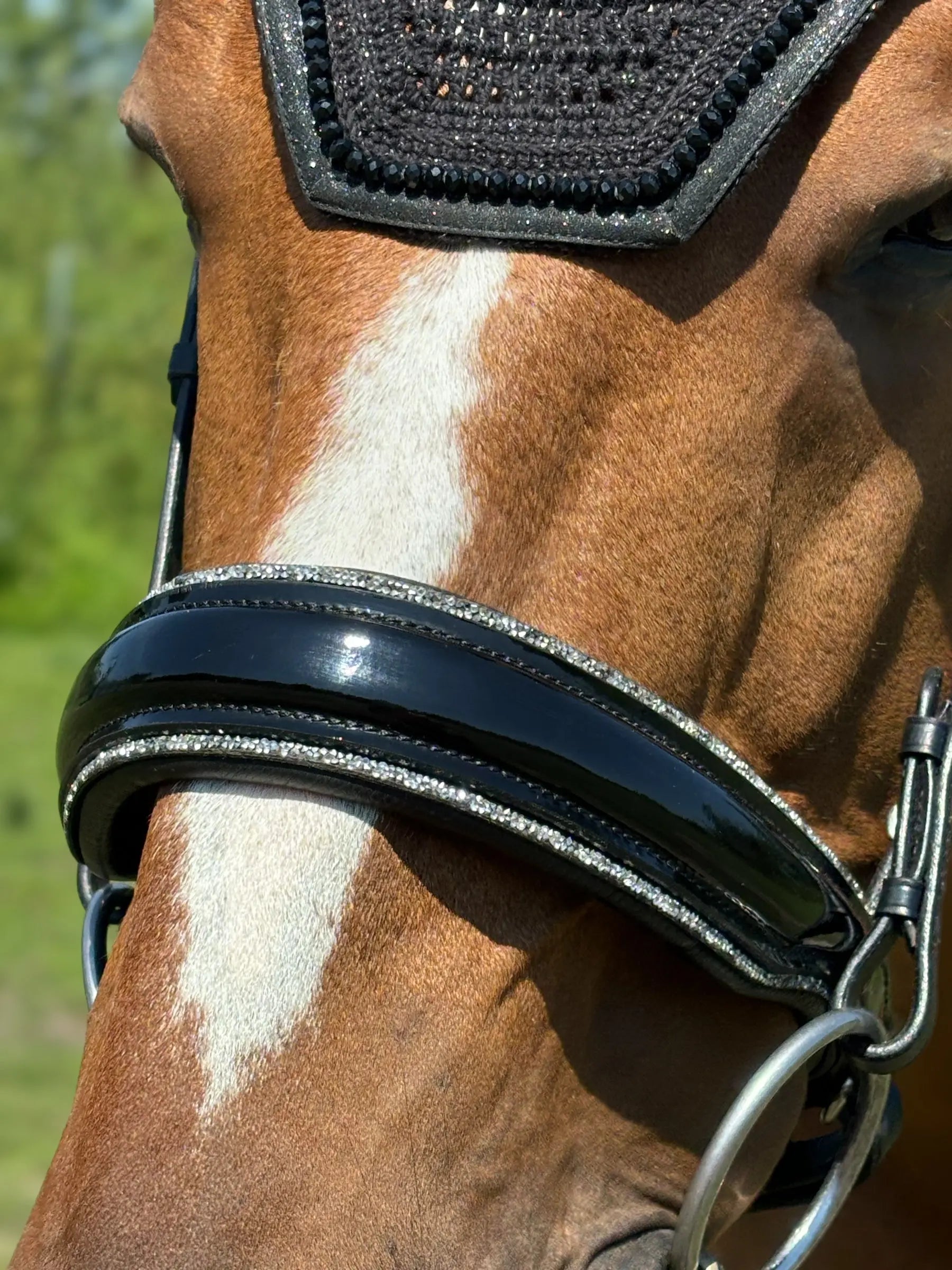 Nasenriemen Glamourös CR-Harmonyequestrian