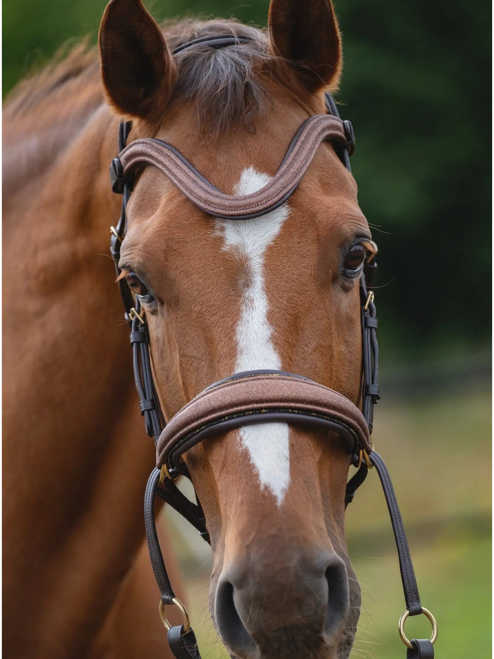 Limited Edition - Glitzerleder braune gebisslose Trense CR-Harmonyequestrian
