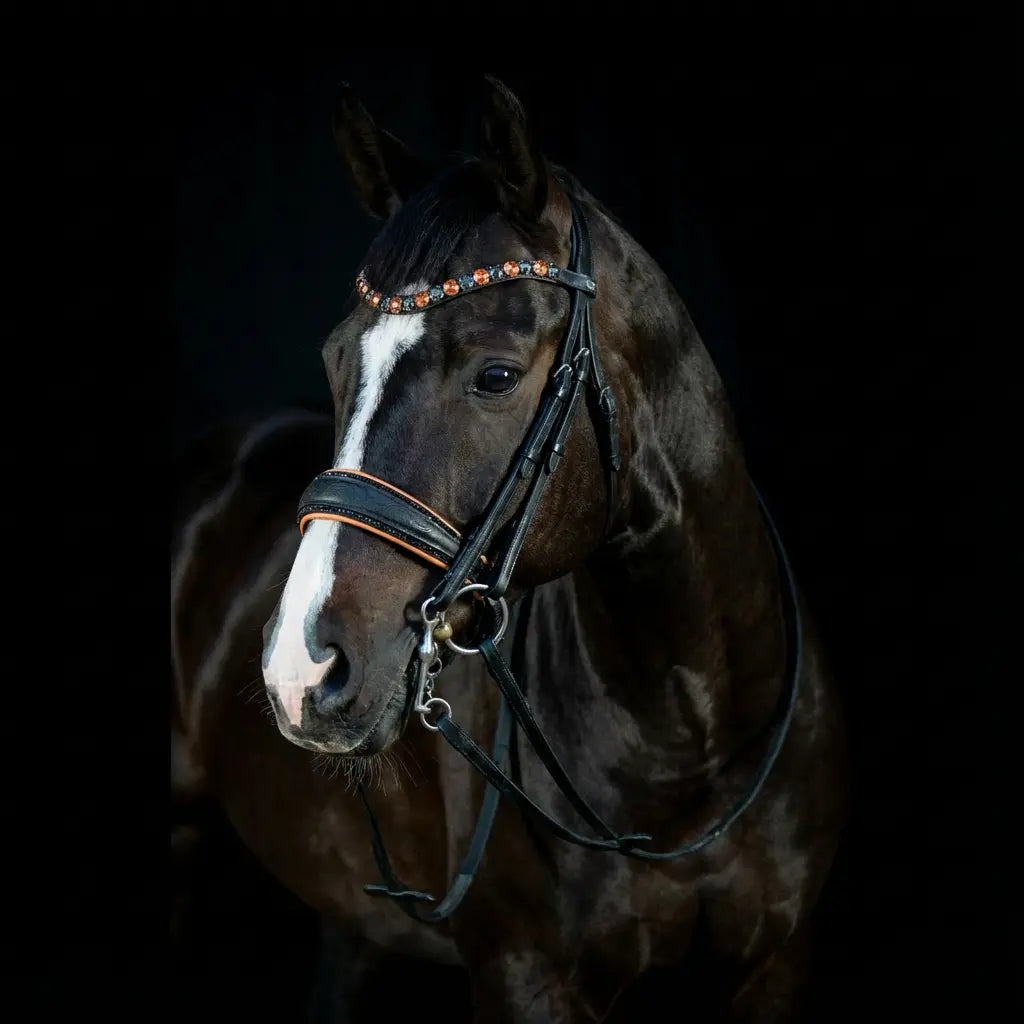 Kandare Flower Peach CR-Harmonyequestrian