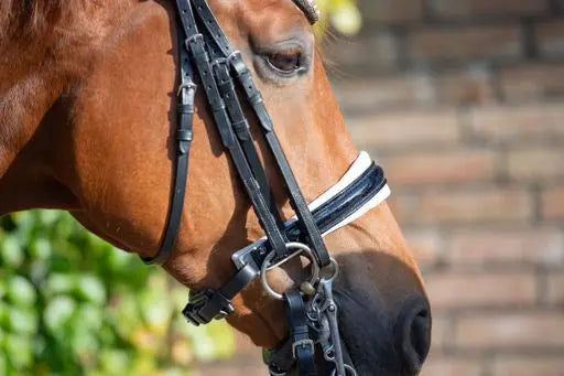 Kandare Sparkle glitzernder Lack, weiß oder schwarz unterlegt CR-Harmonyequestrian