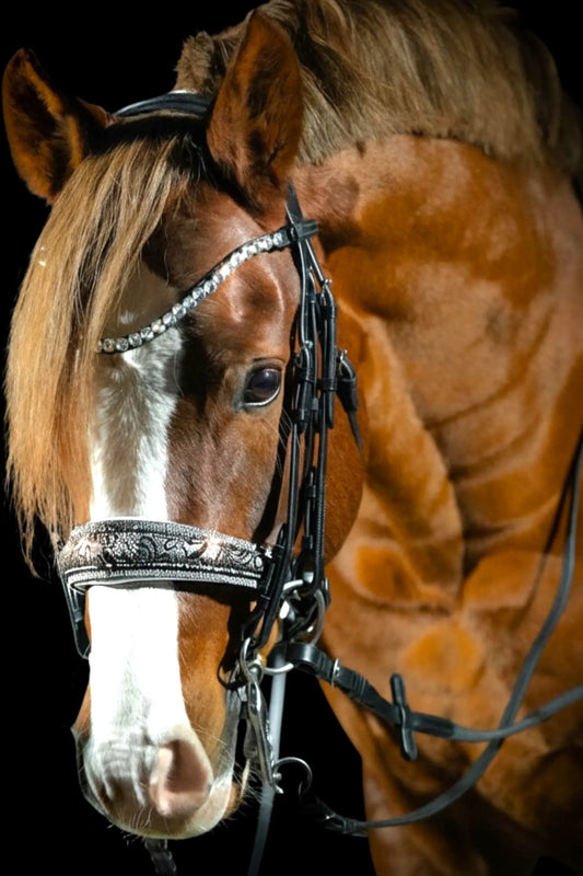 Kandarenzaum „Silver Lace“ – 4 Reihen Crystal Rocks CR-Harmonyequestrian