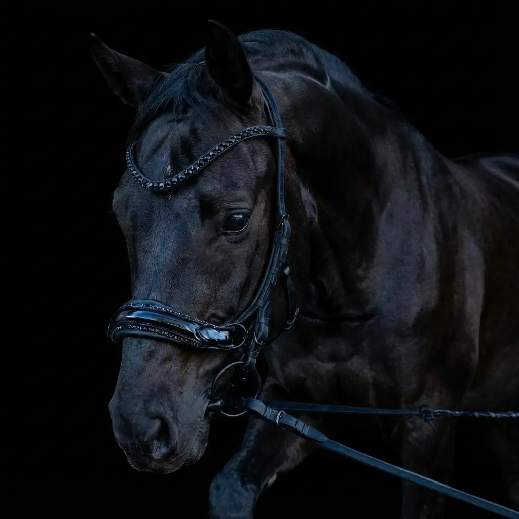 Midnight Supreme Black CR-Harmonyequestrian
