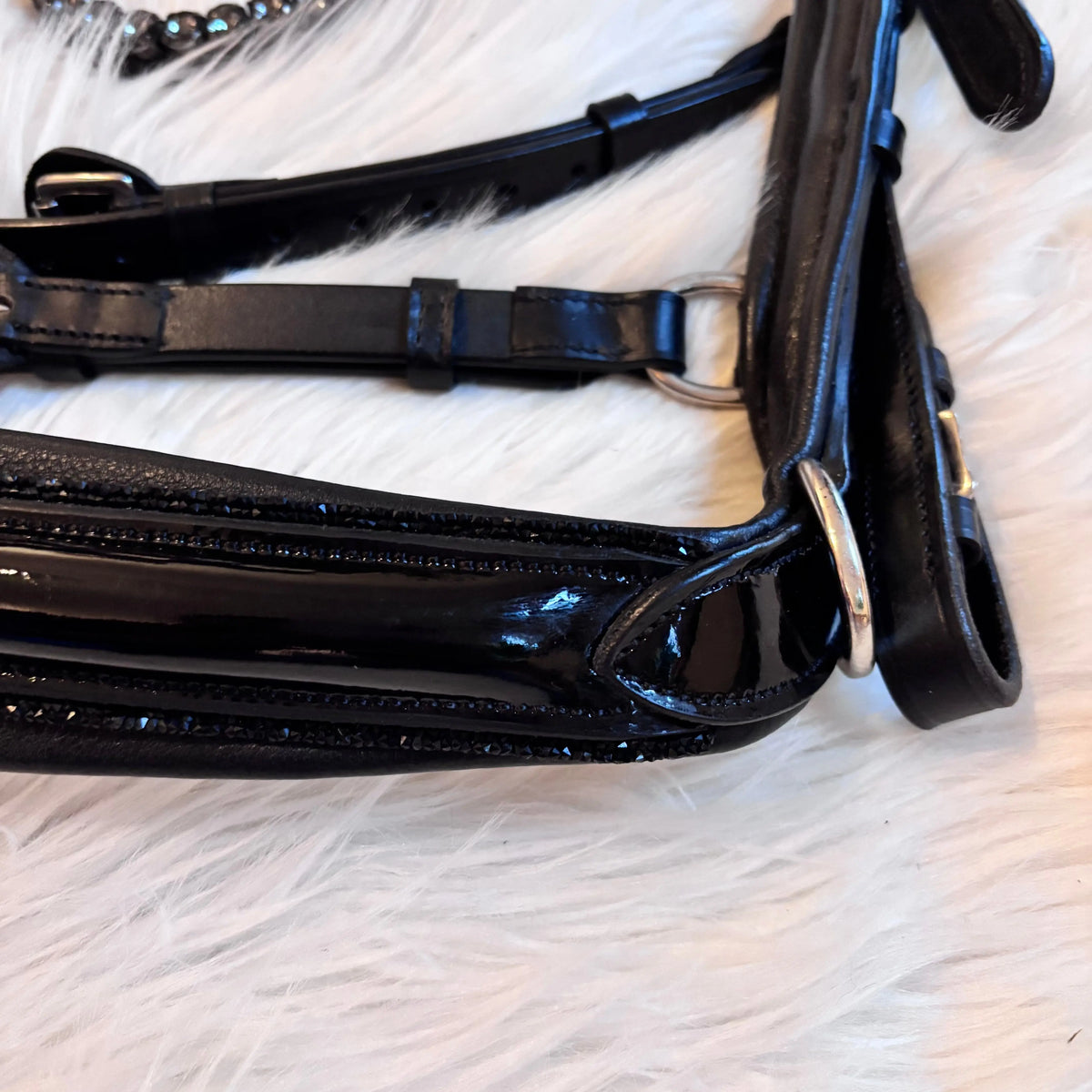 Negro Supremo Medianoche CR-Harmonyequestrian