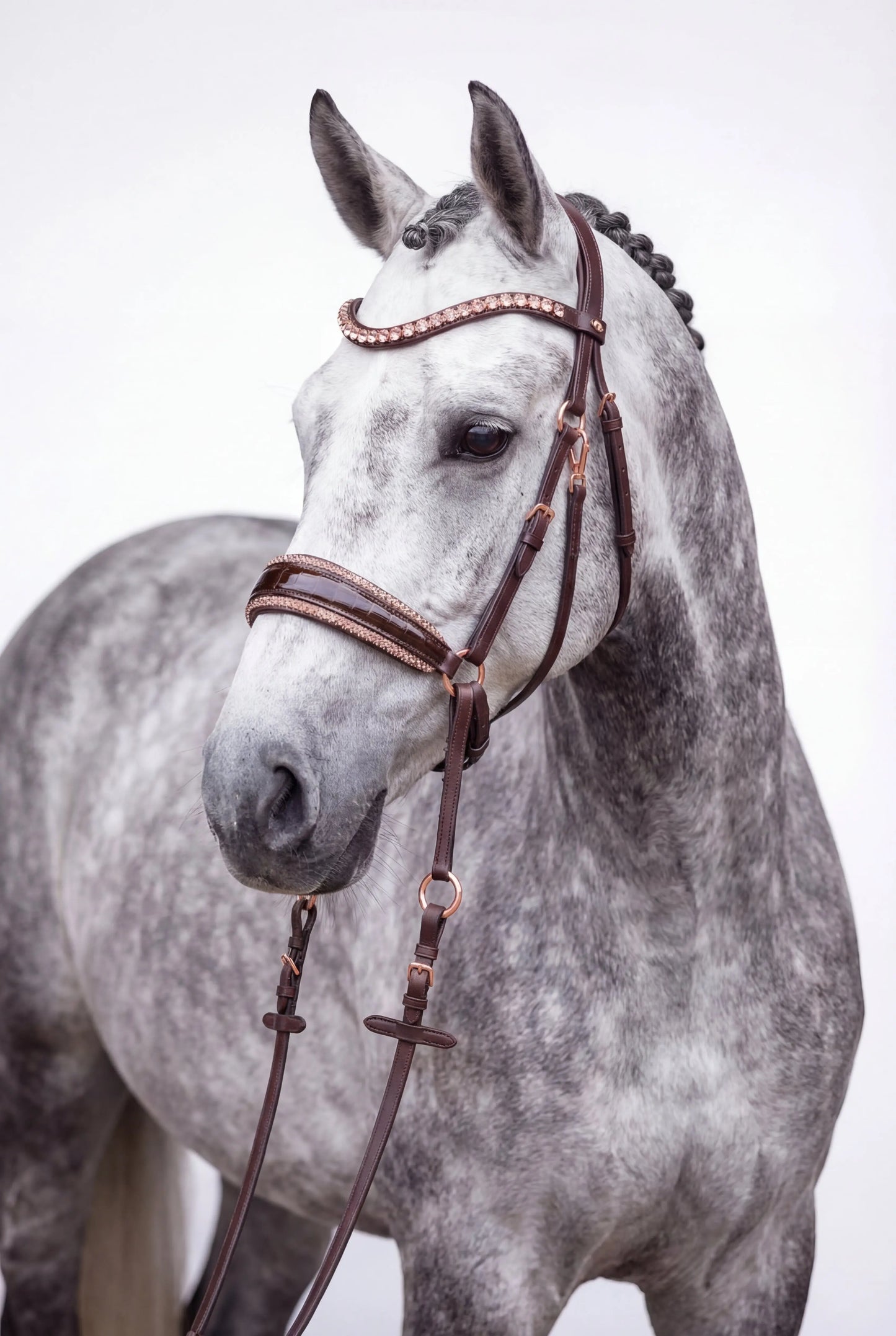 NEW PRODUCT LAUNCH Kroko Edition CR Harmonybridle - gebisslose Trense für Pferde - Ansicht 12