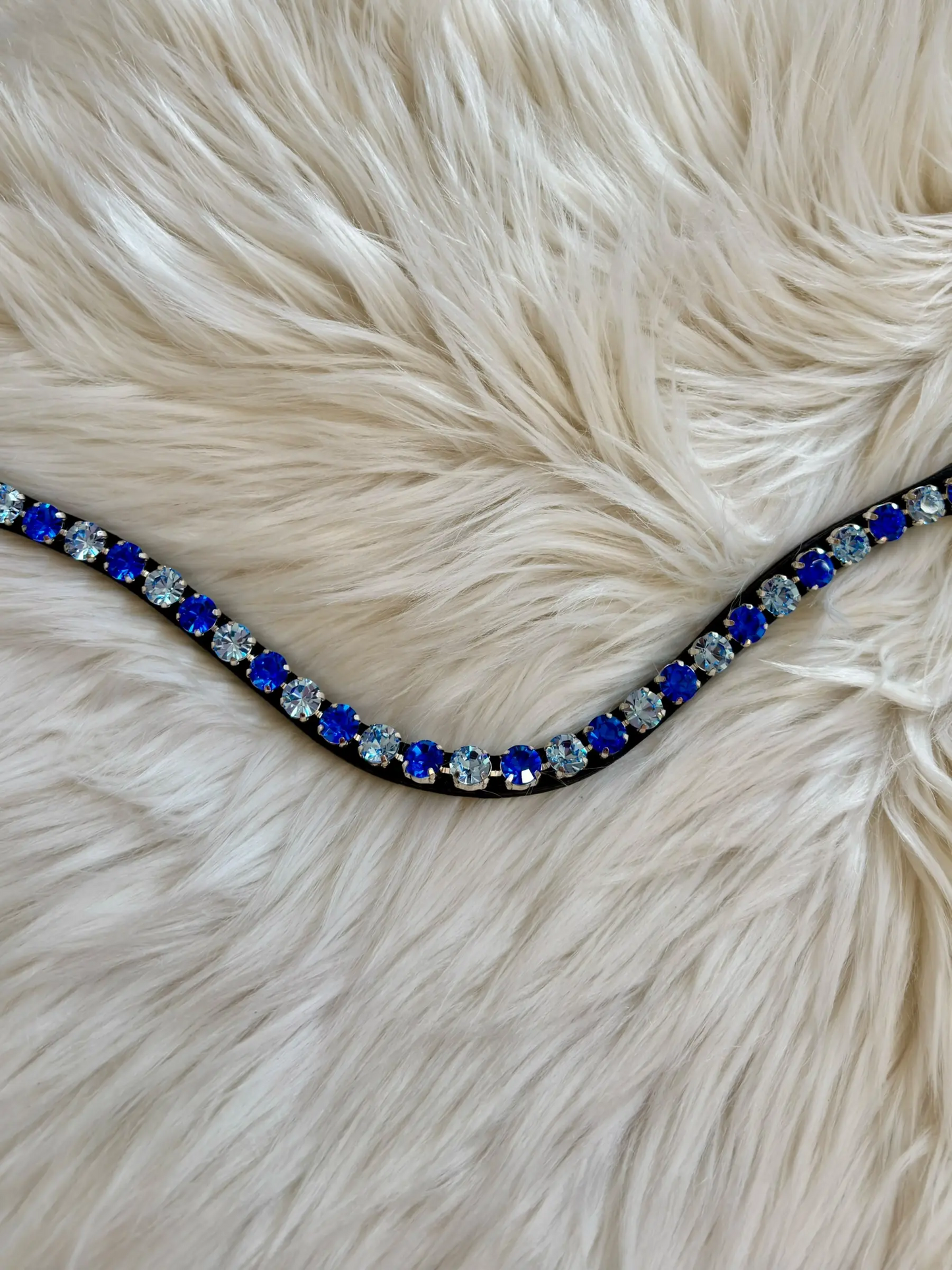 Stirnriemen Sapphire CR-Harmonyequestrian