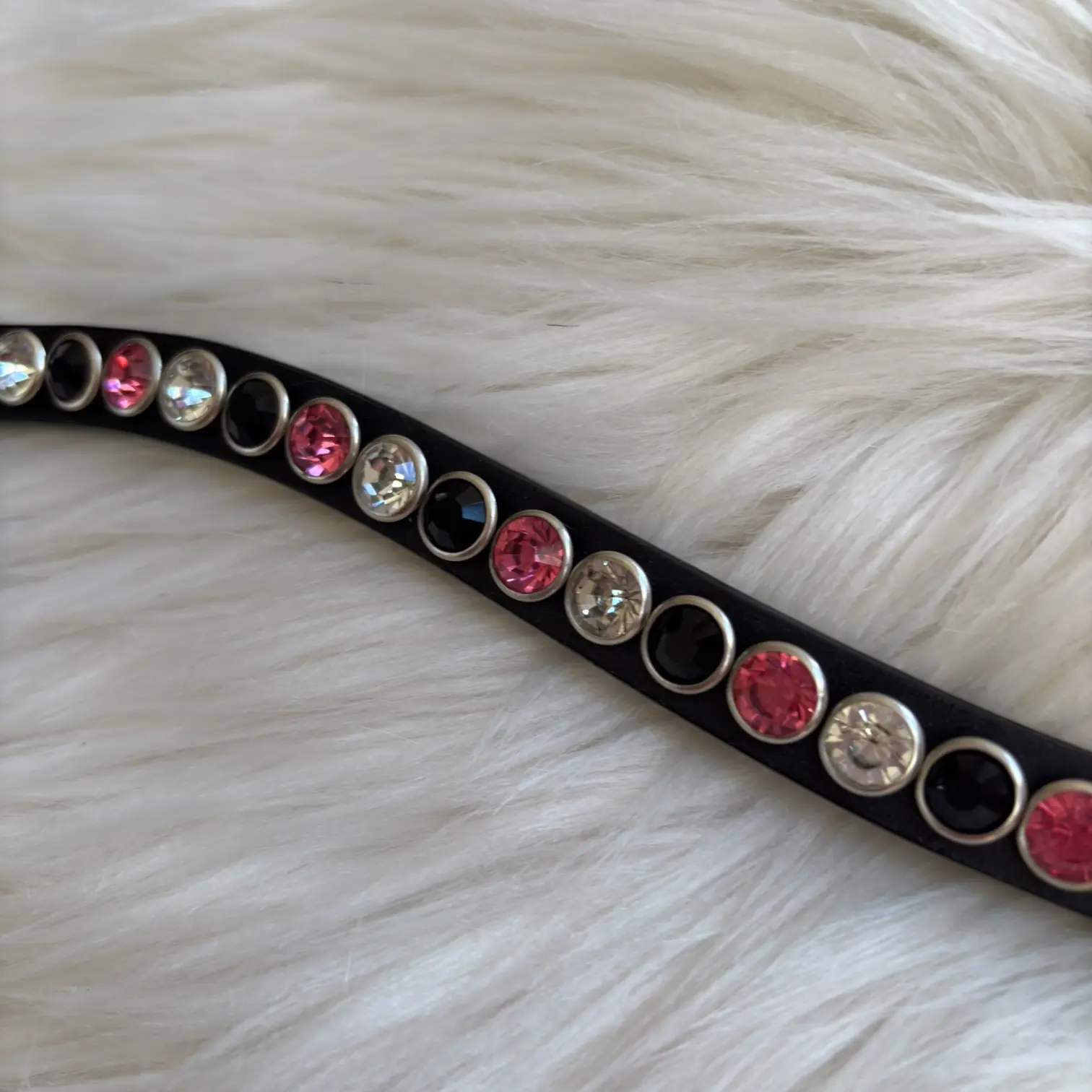 Stirnriemen Rivets CR-Harmonyequestrian