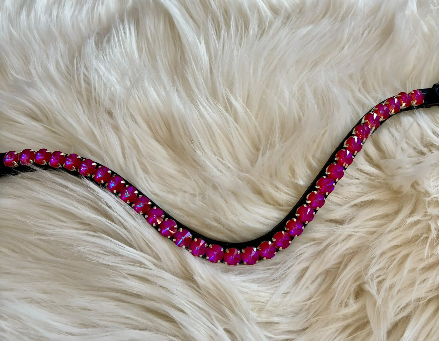 Stirnriemen Rivolis CR-Harmonyequestrian