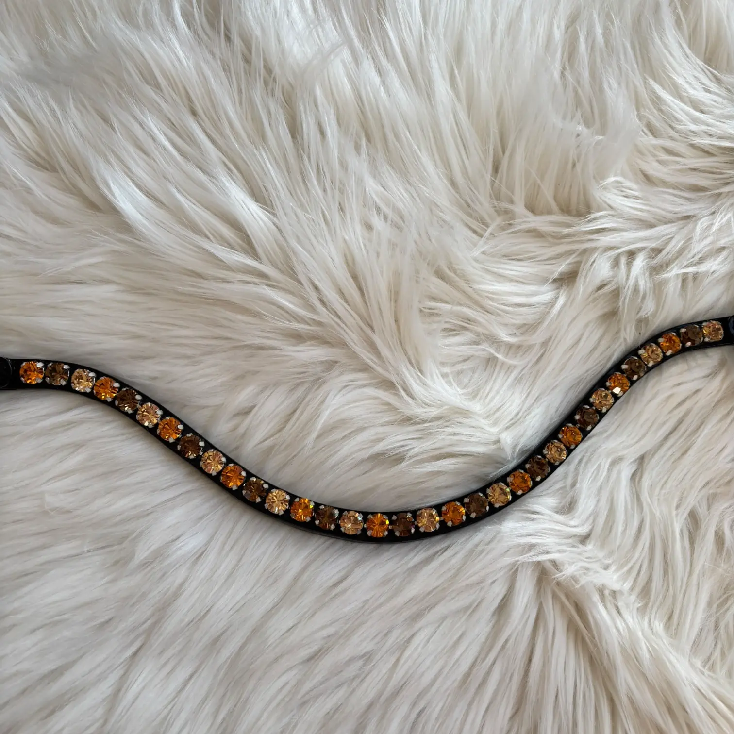 Stirnriemen Autumn CR-Harmonyequestrian