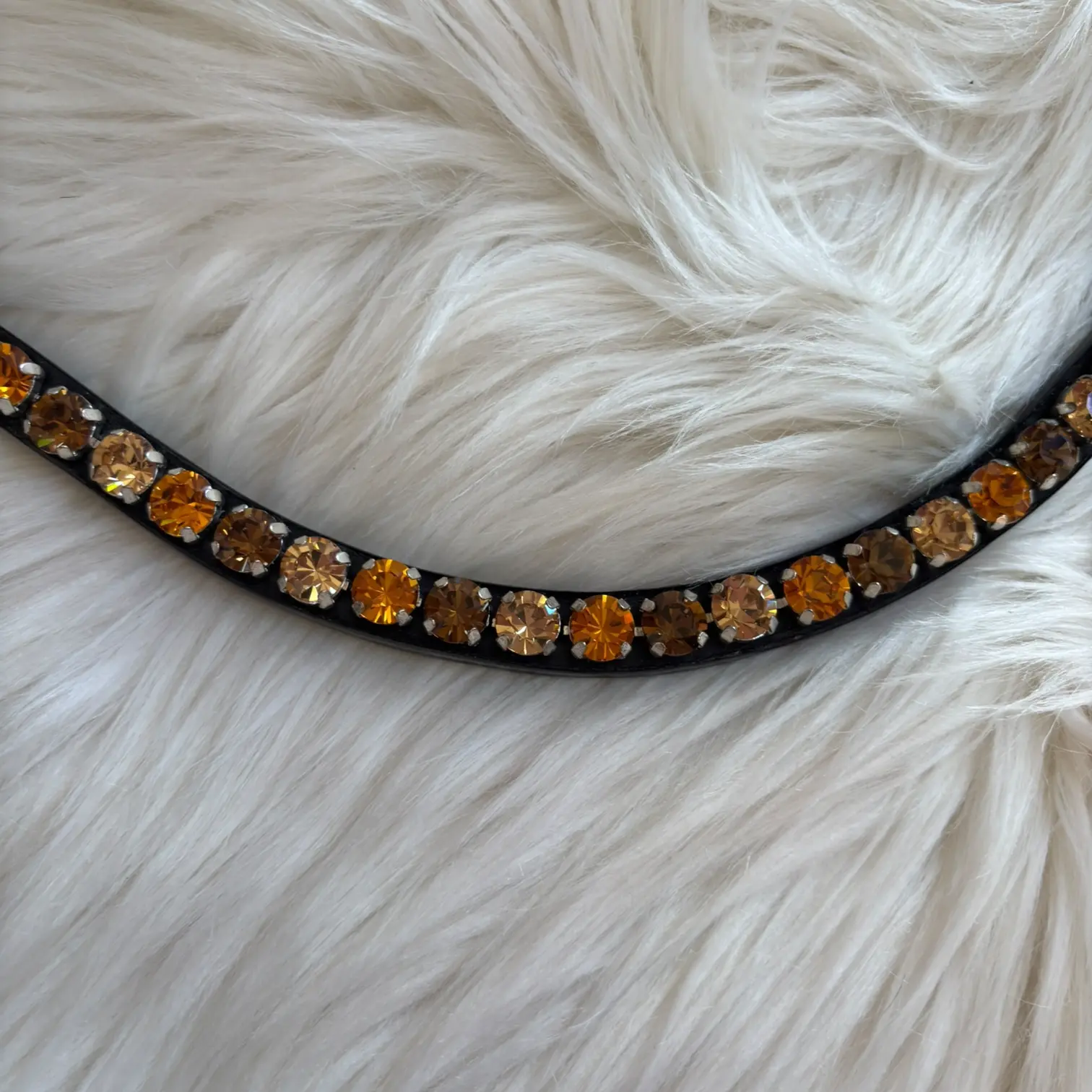 Stirnriemen Autumn CR-Harmonyequestrian