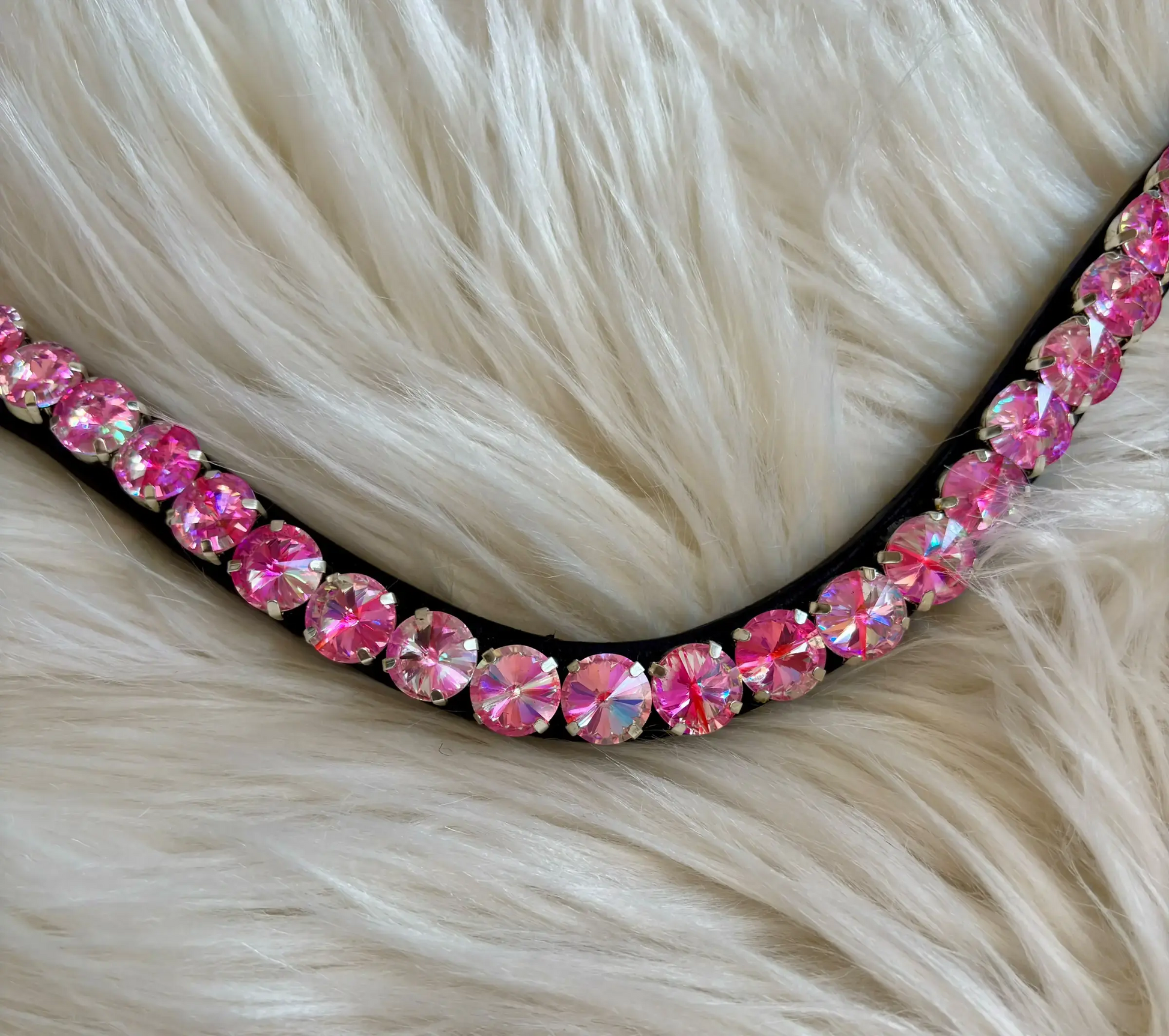 Stirnriemen Rivolis CR-Harmonyequestrian