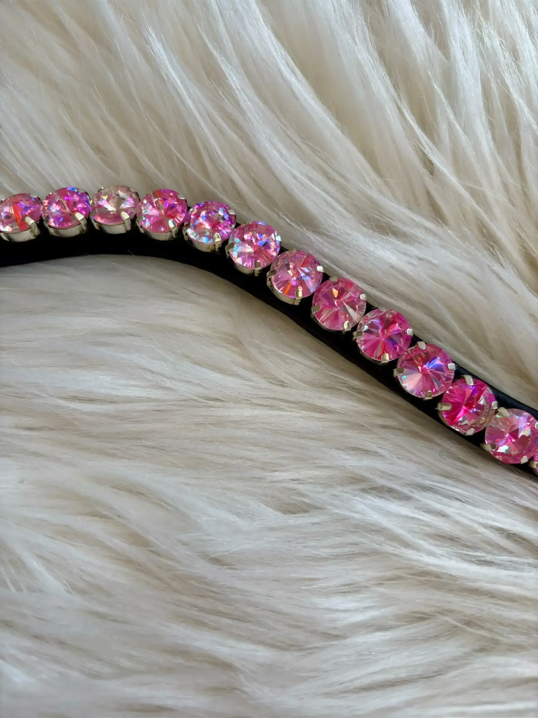 Stirnriemen Rivolis CR-Harmonyequestrian