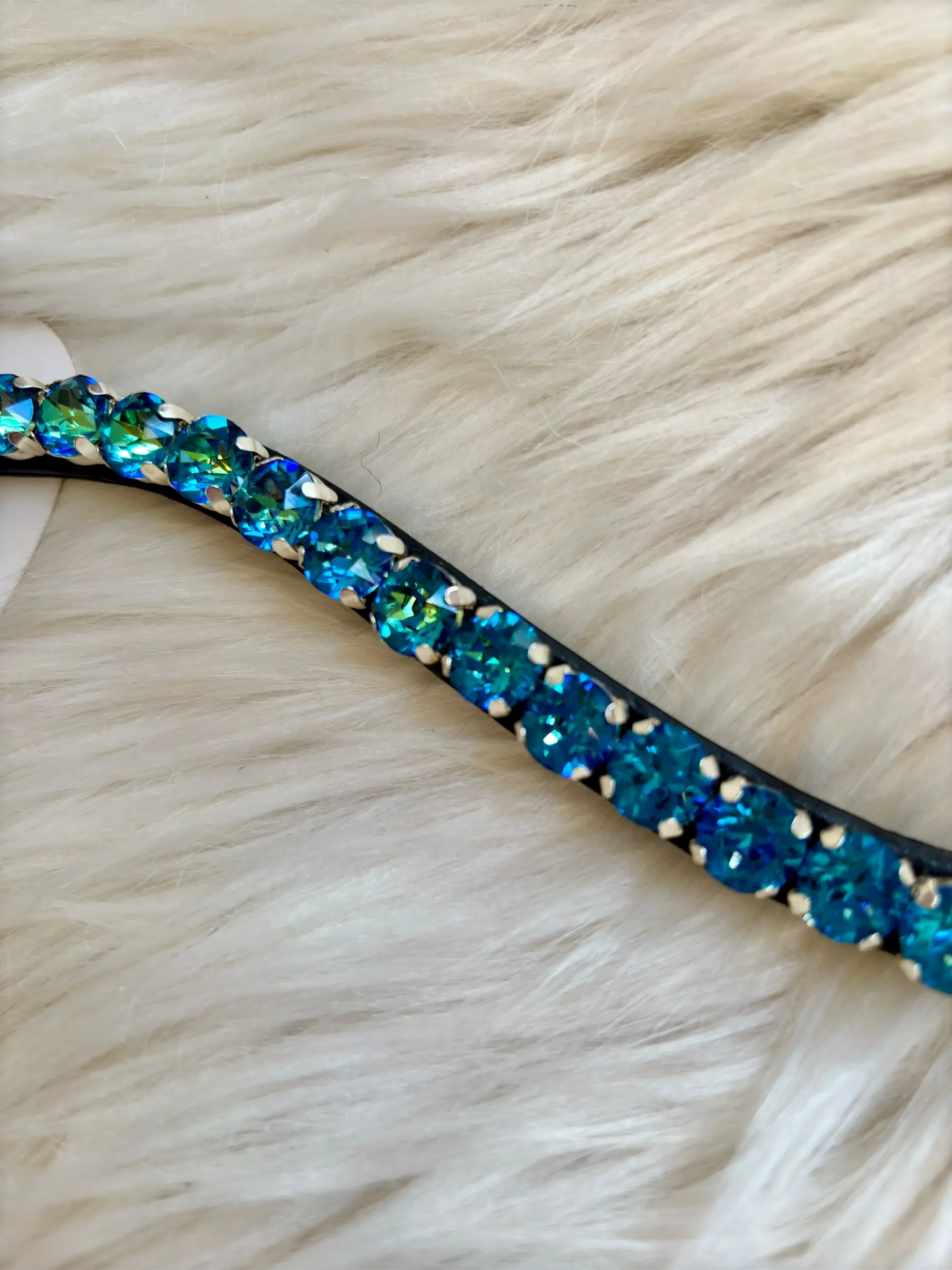 Stirnriemen Aqua Radience CR-Harmonyequestrian