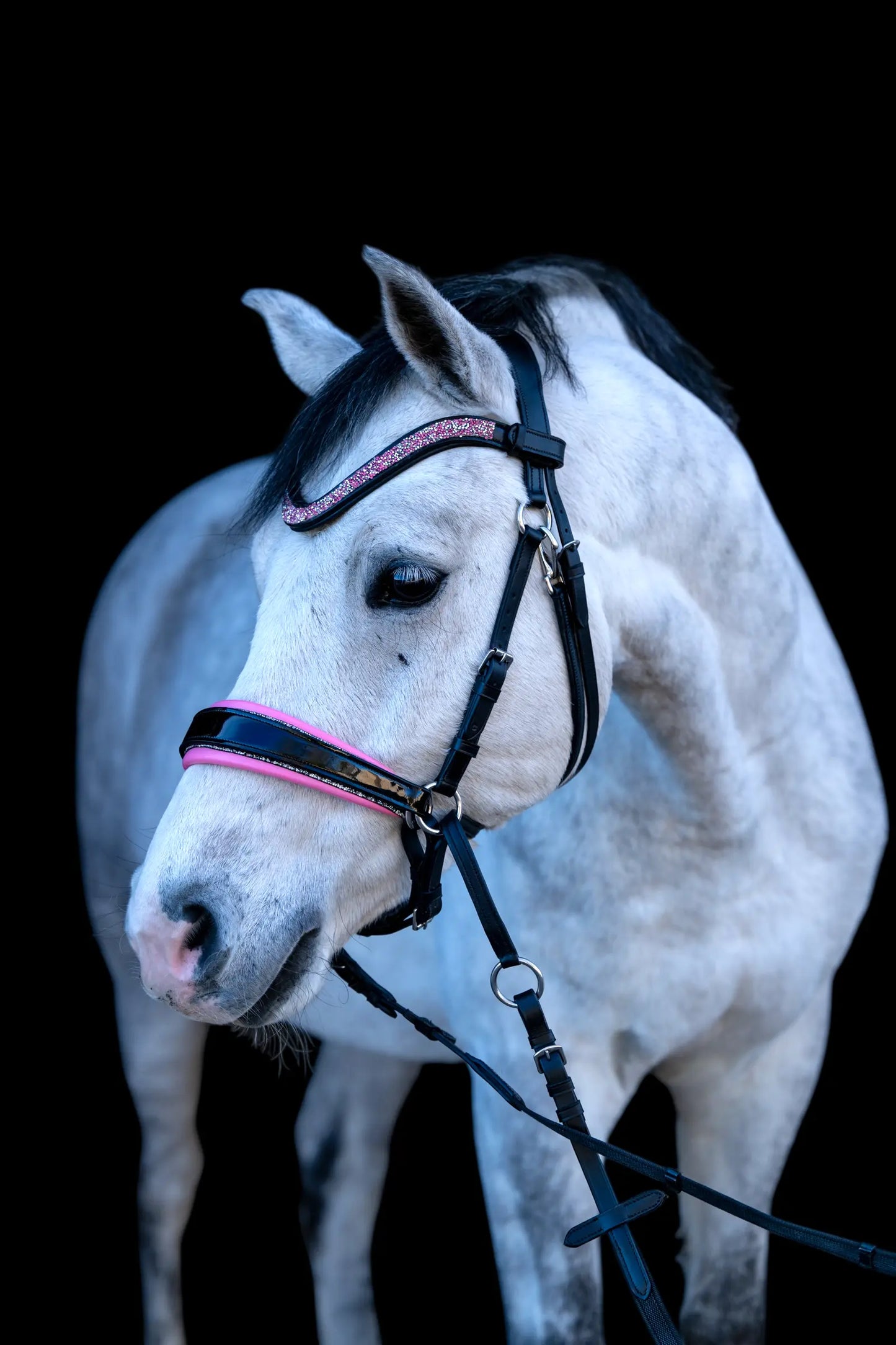 Pink Edition CR Harmonybridle gebisslos - gebisslose Trense für Pferde - Ansicht 2