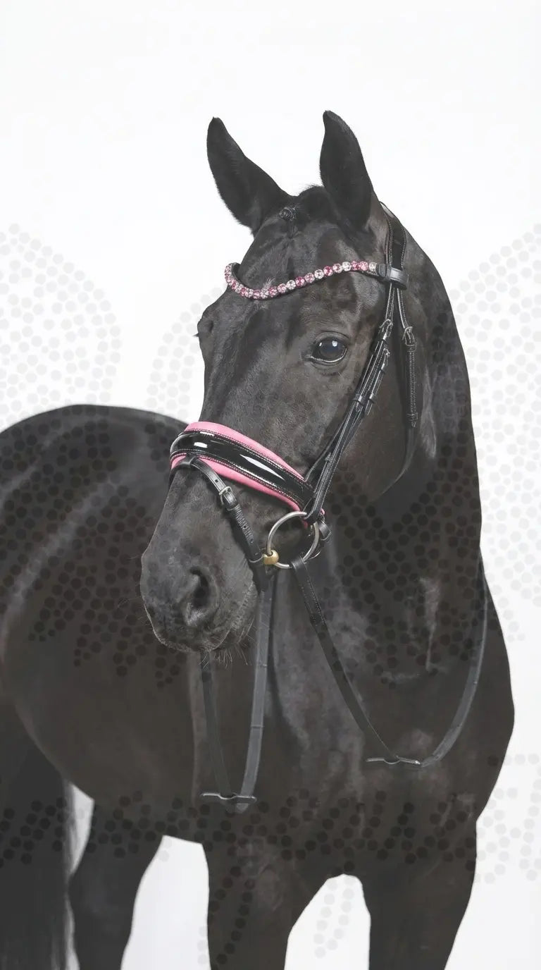 Pink Star Trense ist zurück CR-Harmonyequestrian