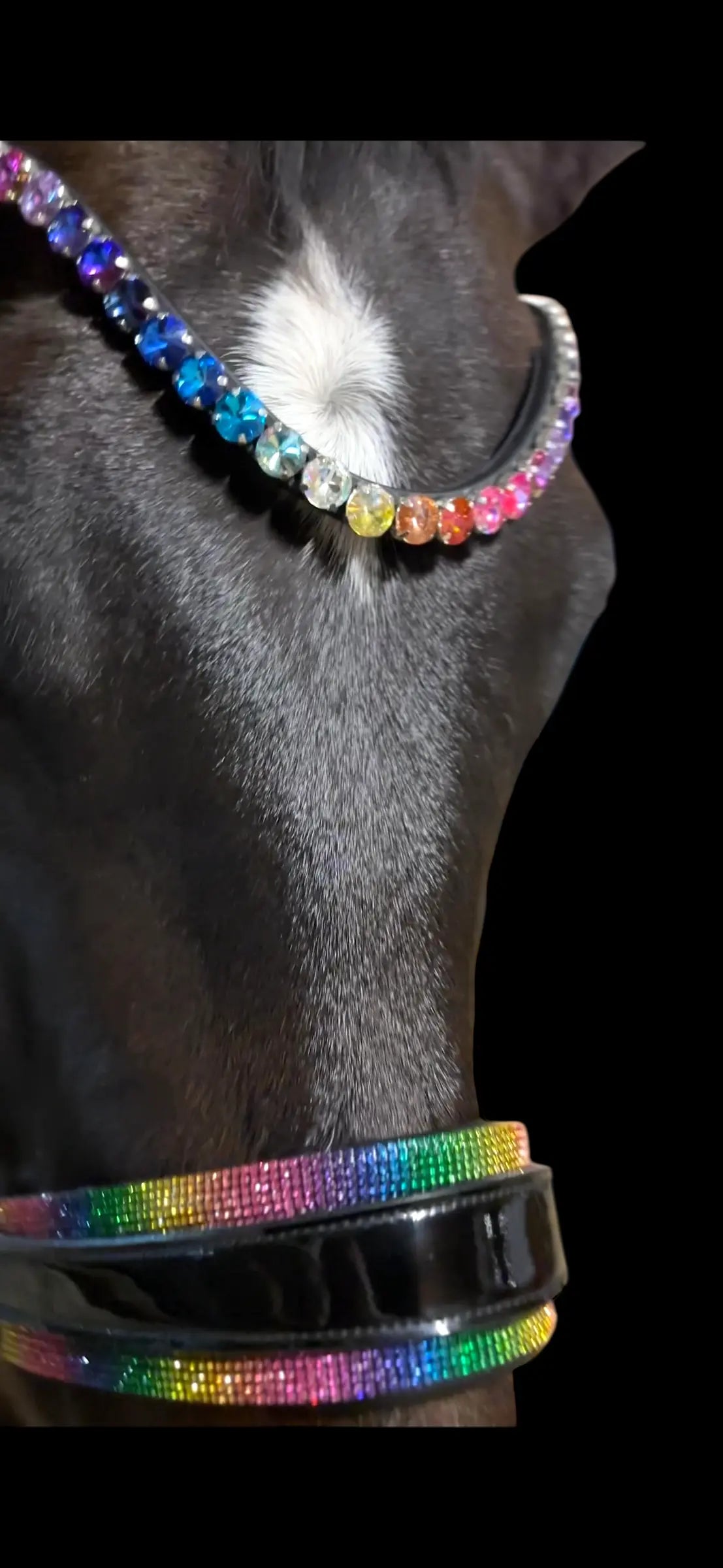 Rainbow Deluxe Stirnriemen CR-Harmonyequestrian