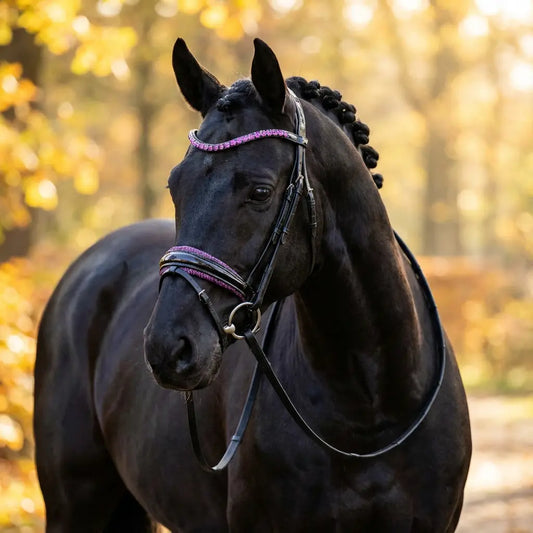 Trense Heliotrope Lux NEW CR-Harmonyequestrian