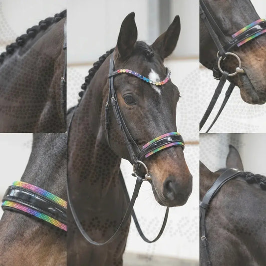 Trense Rainbow Crystal CR-Harmonyequestrian