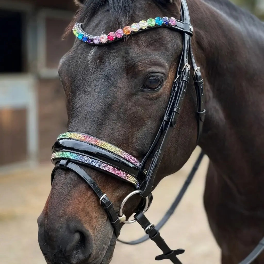 Trense Regenbogen - Buntes Zaumzeug für Pferde CR-Harmonyequestrian