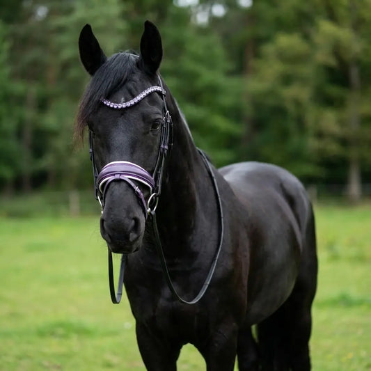 Trense Violet Grace CR-Harmonyequestrian