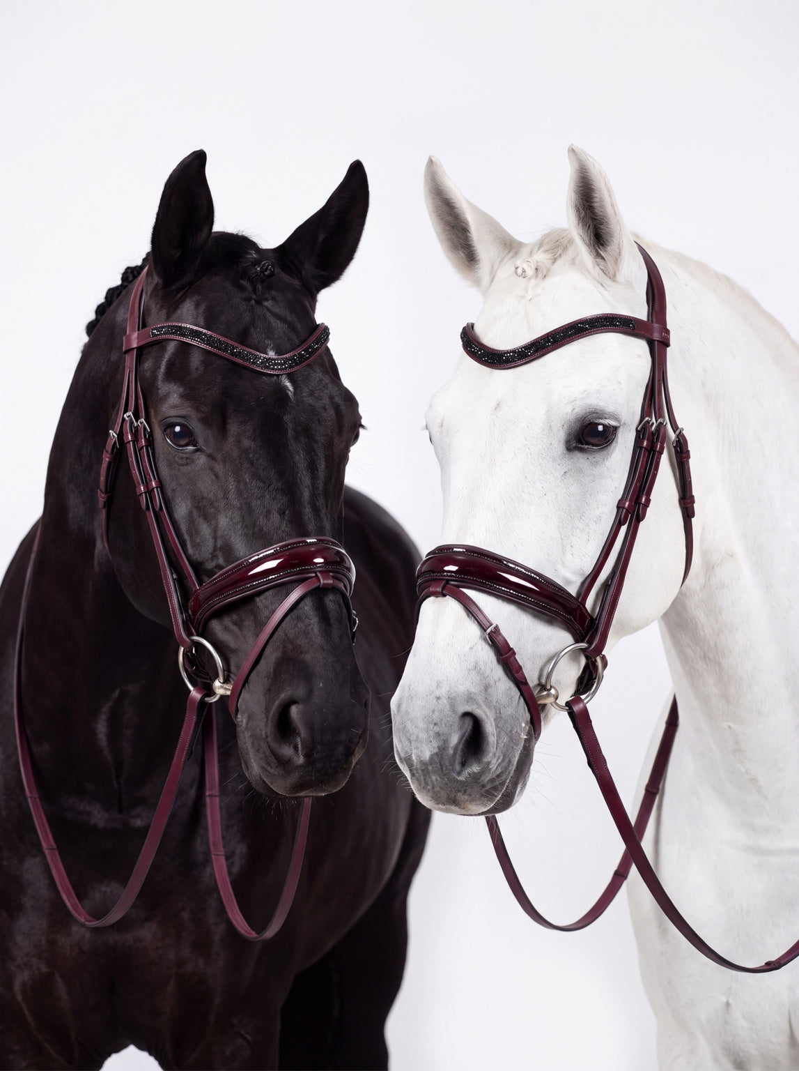 Bordeaux-Trense von CR Harmonyequestrian mit glänzendem Lacknasenriemen, schwarzen Kristallen und passenden Bordeaux-Zügeln an einem Rappen und einem Schimmel