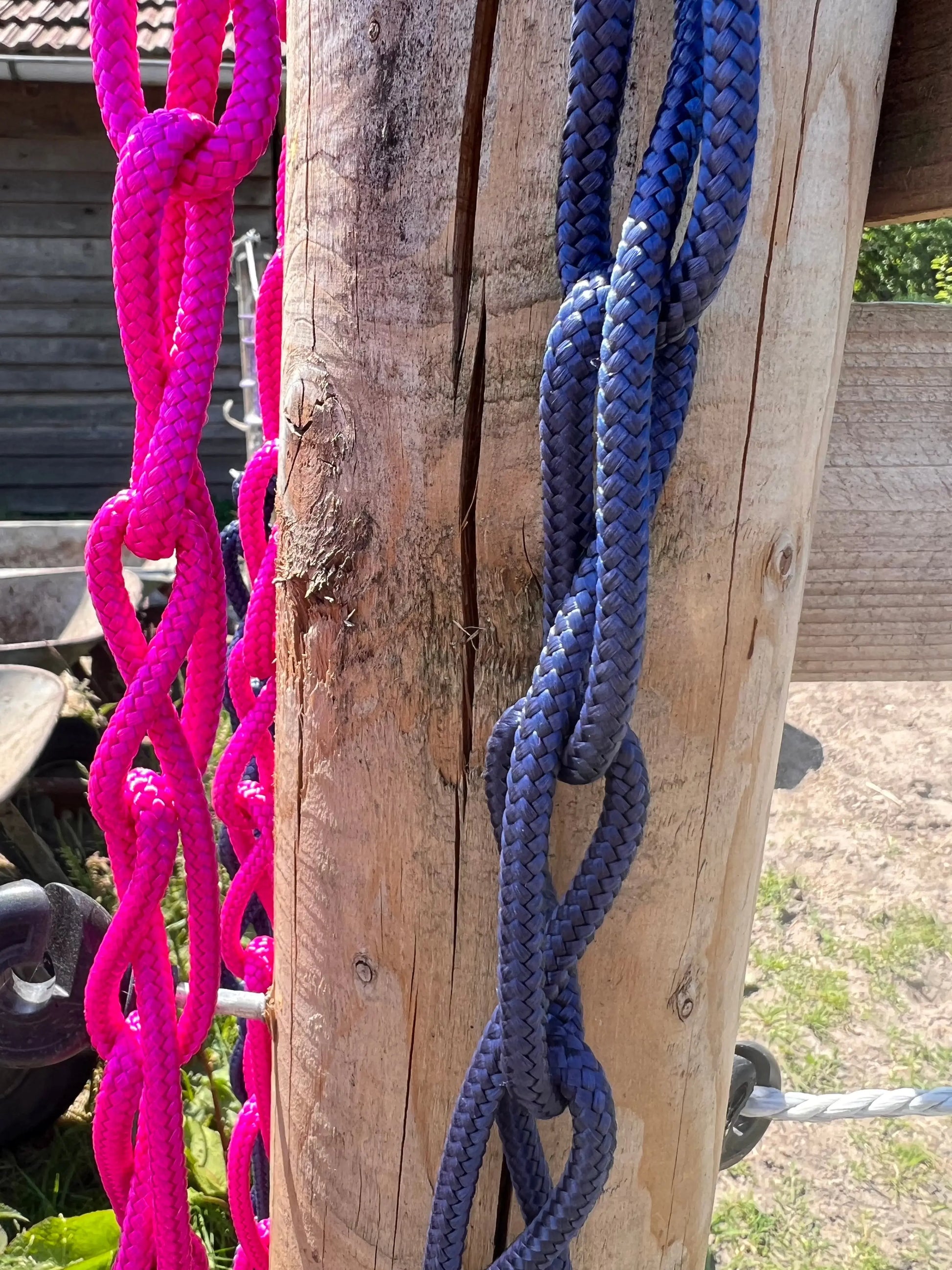 Balancezügel CRBalancezügelBalancezügel