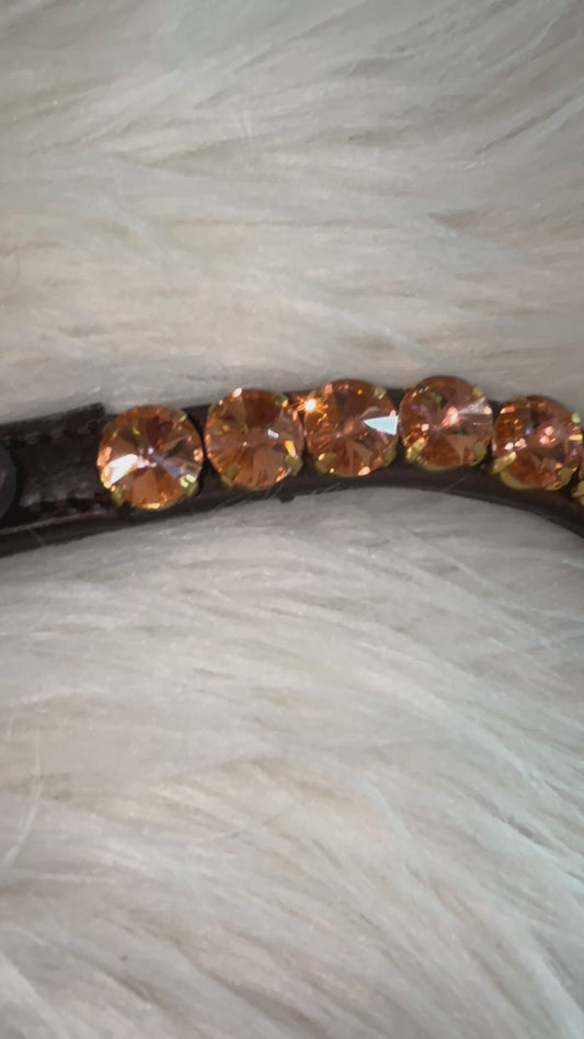 Brown browband Big Sun