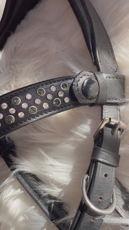 Multibridle Thoroughbred